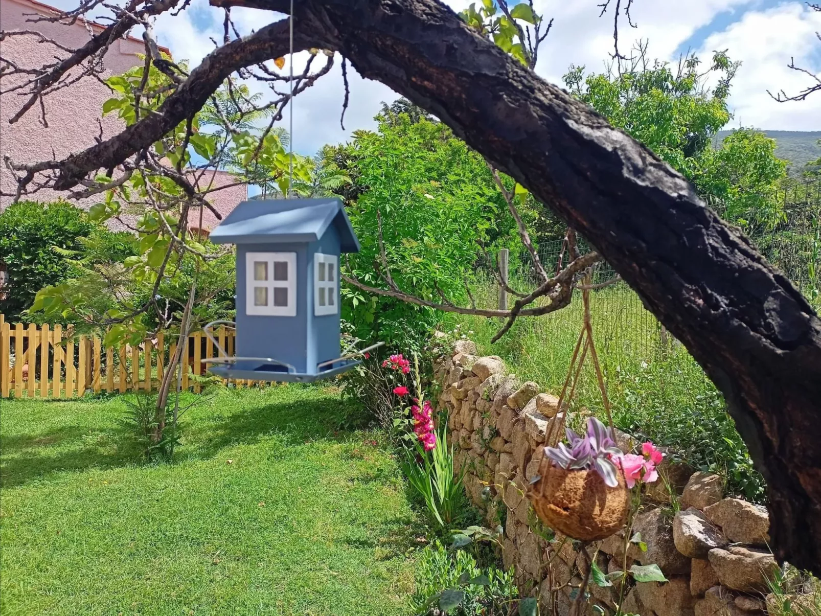 Villa Ontanelli-Buiten