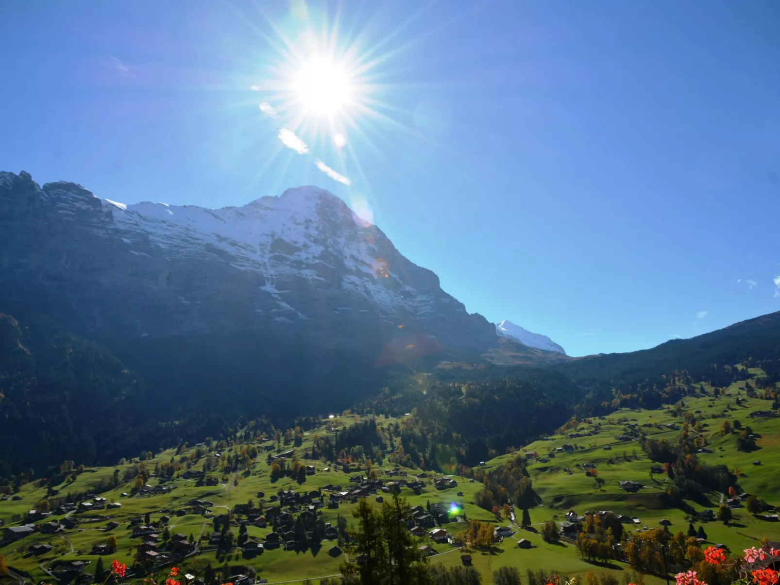 Apartment Bärgrose-Buiten