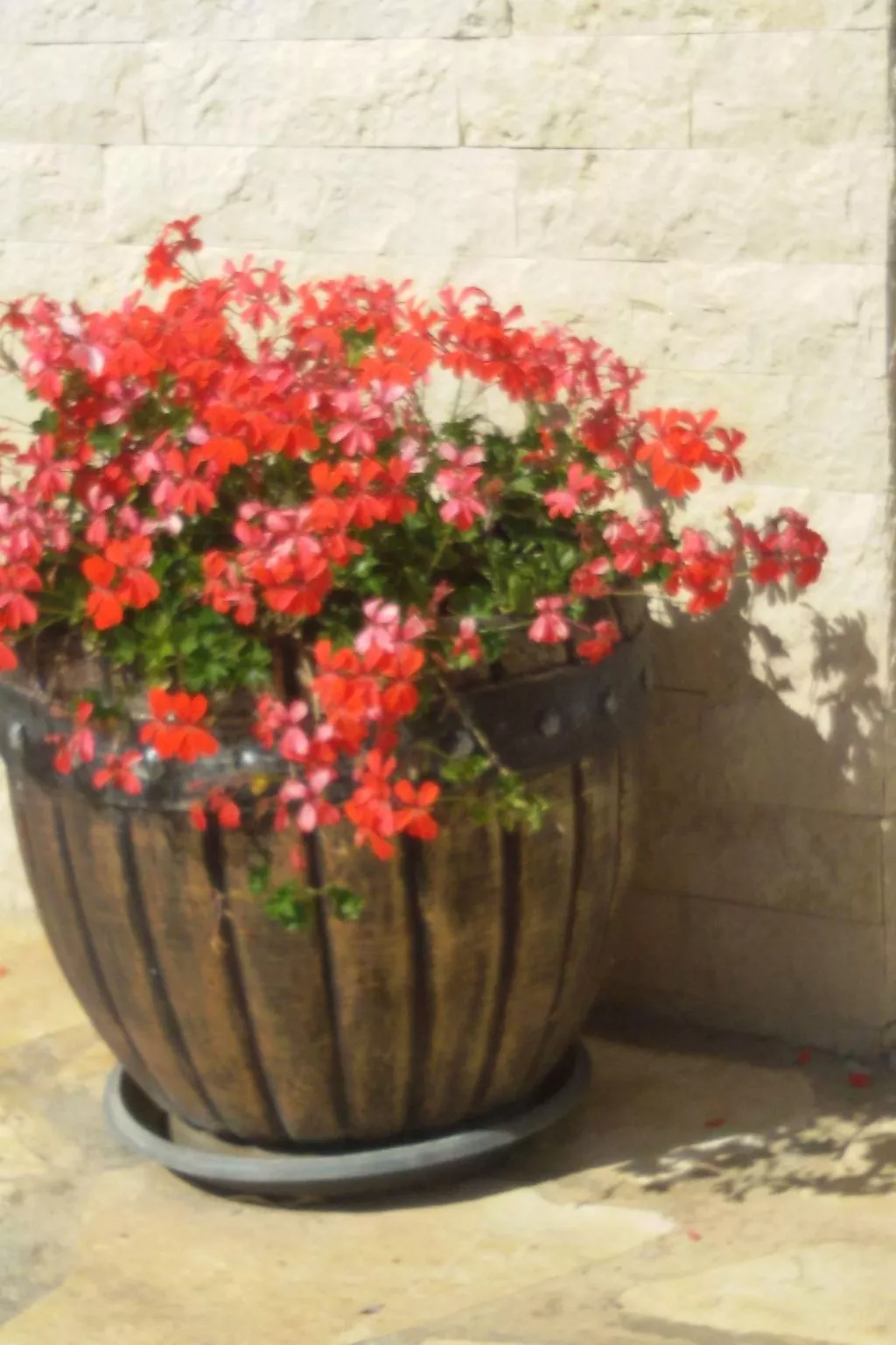 Direkt am Meer liegendes Apartment mit Garten-Buiten