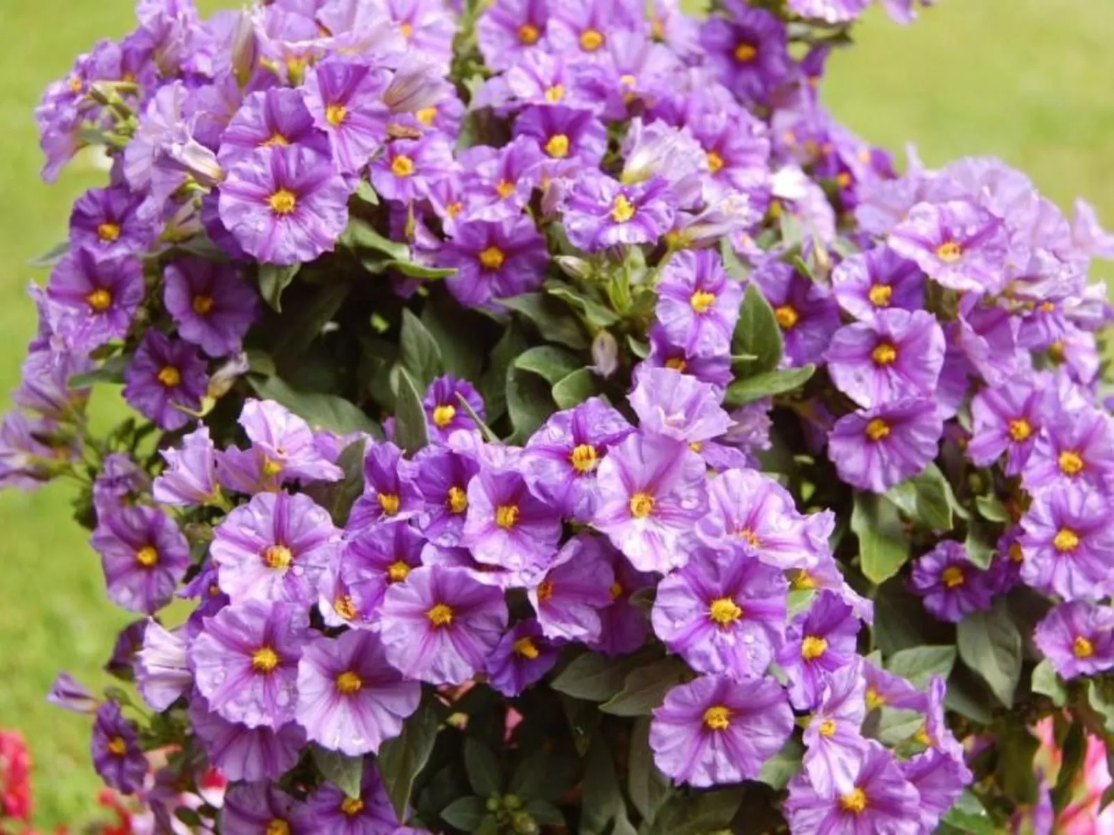 Chalet Burgstein, Studio Alpenrose-Image-tags.info