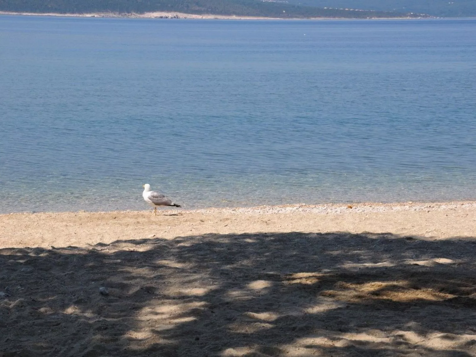 Wohnung für 6 Personen - Buiten