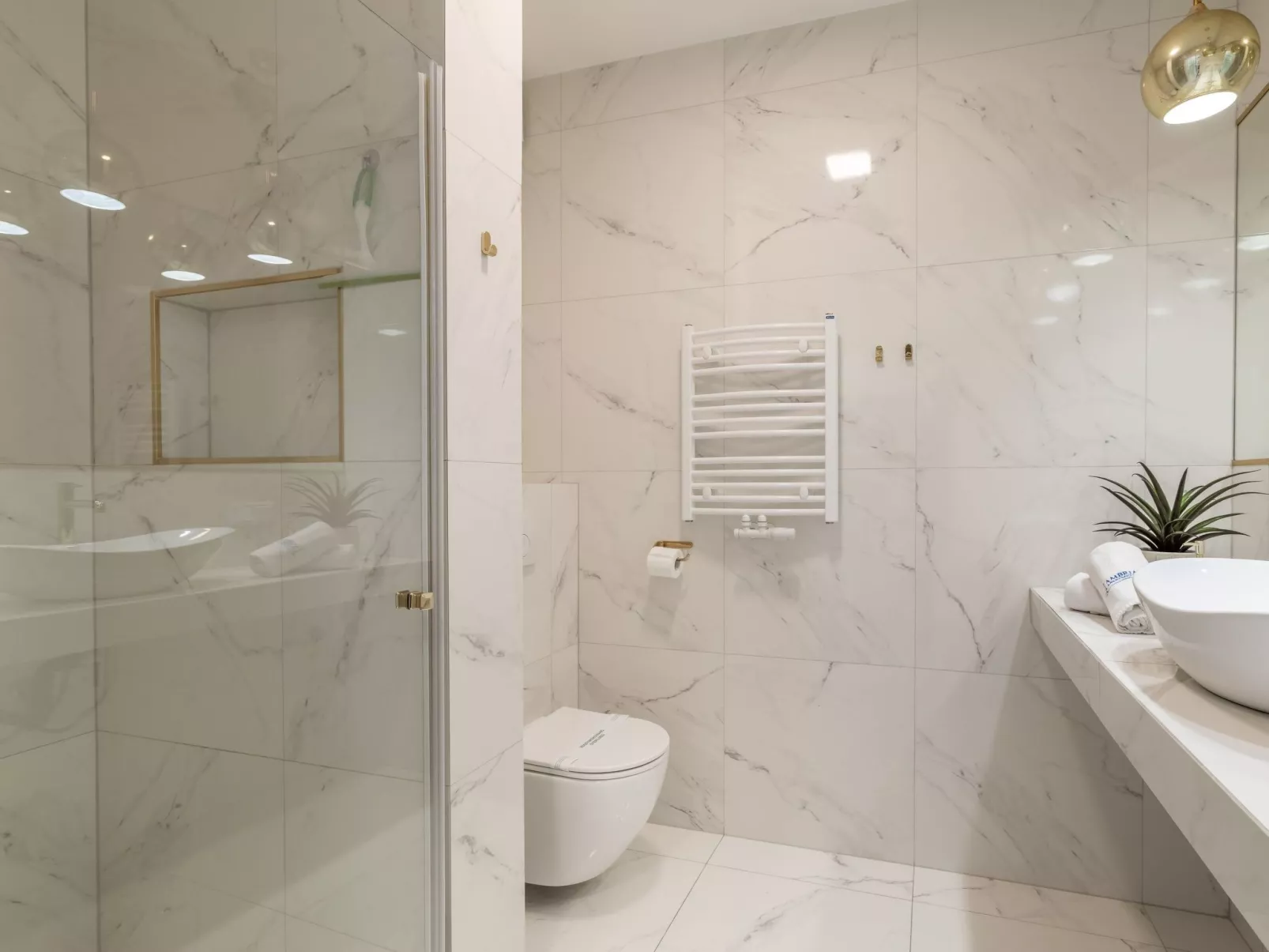 Lividus 137-Image-tags.info