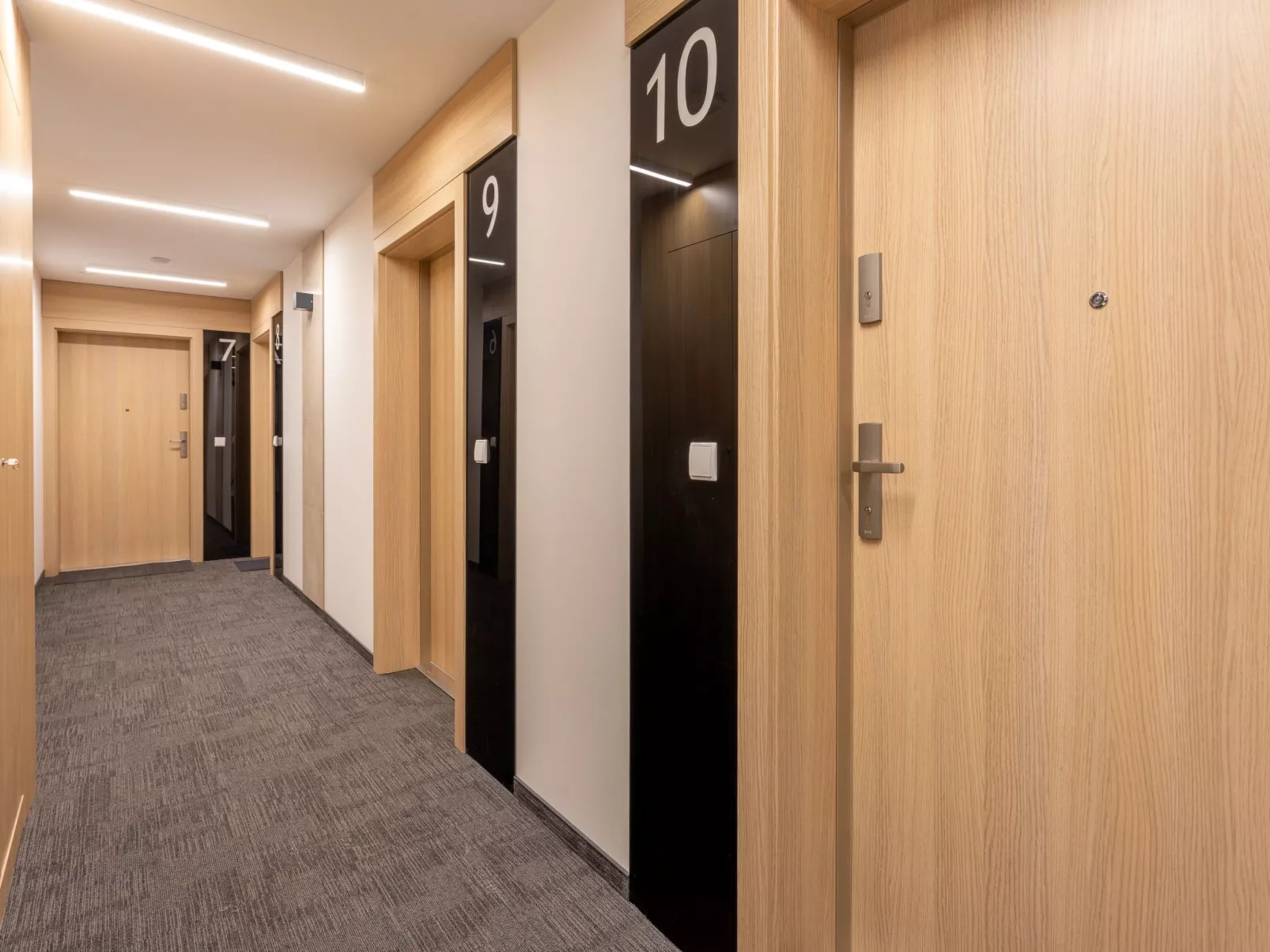 Kormoran 10-Image-tags.info