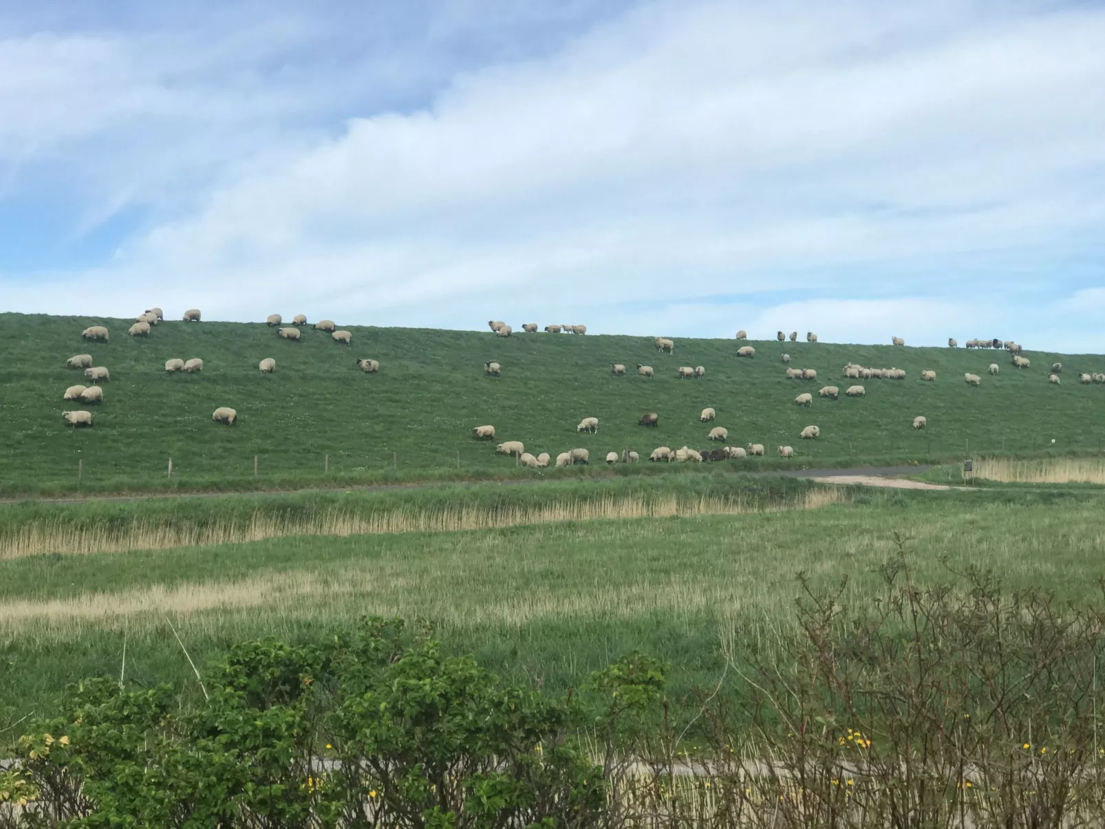 E3 Haus mit Wintergarten, Kamin und Deichblick-Buiten