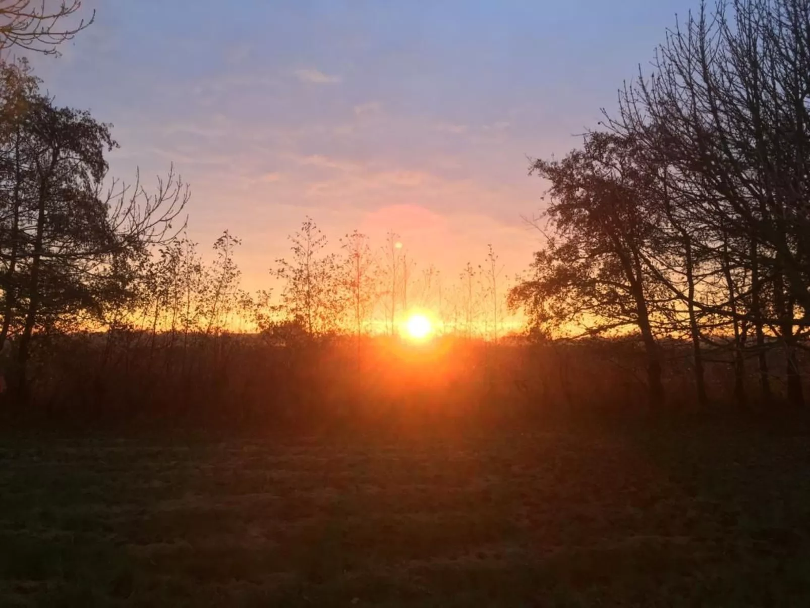 Deichhof Tossens - Buiten