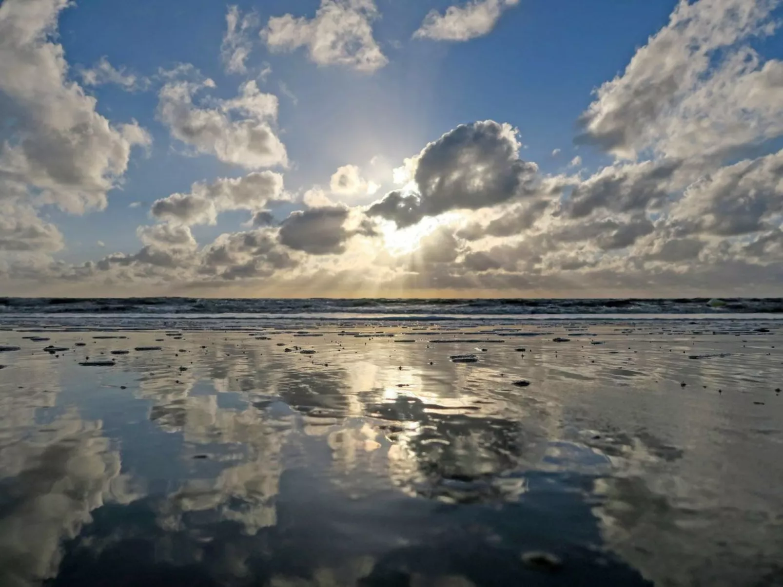 Friesenhof-Image-tags.info