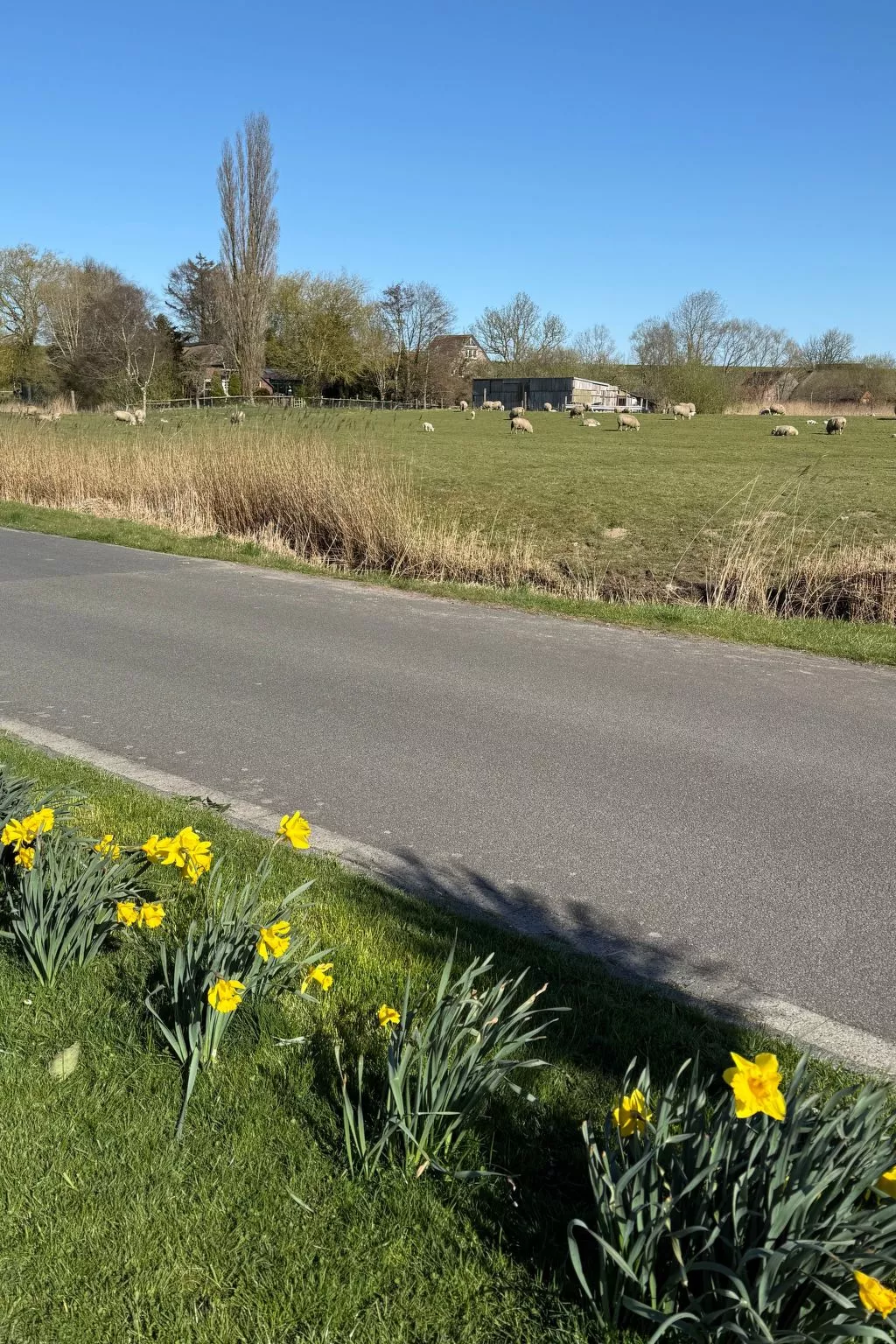 Huus in Hoddersdiek 27-Buiten