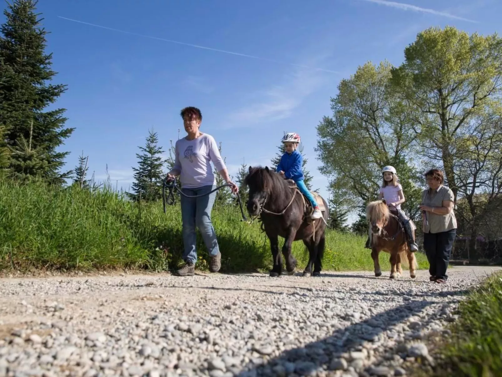 Feierlenhof, 2-Zimmerwohnung Granny, Parterre-Image-tags.info