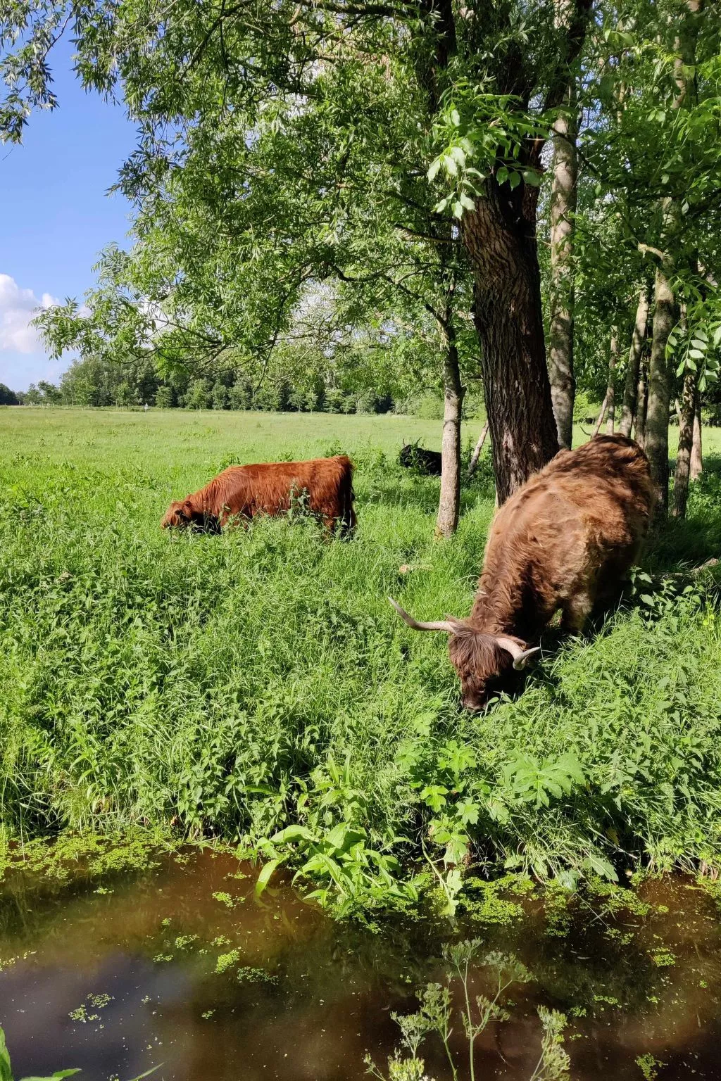 Appartement in Leeuwarden mit Privater Terrasse-Buiten