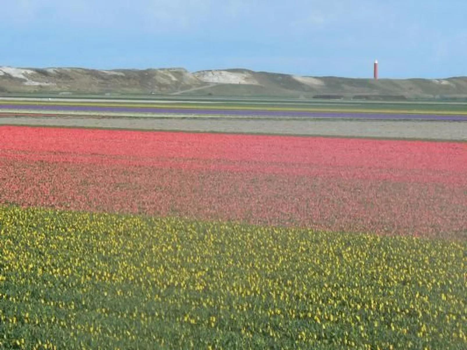 "Villa Ooghduyne"-Image-tags.info