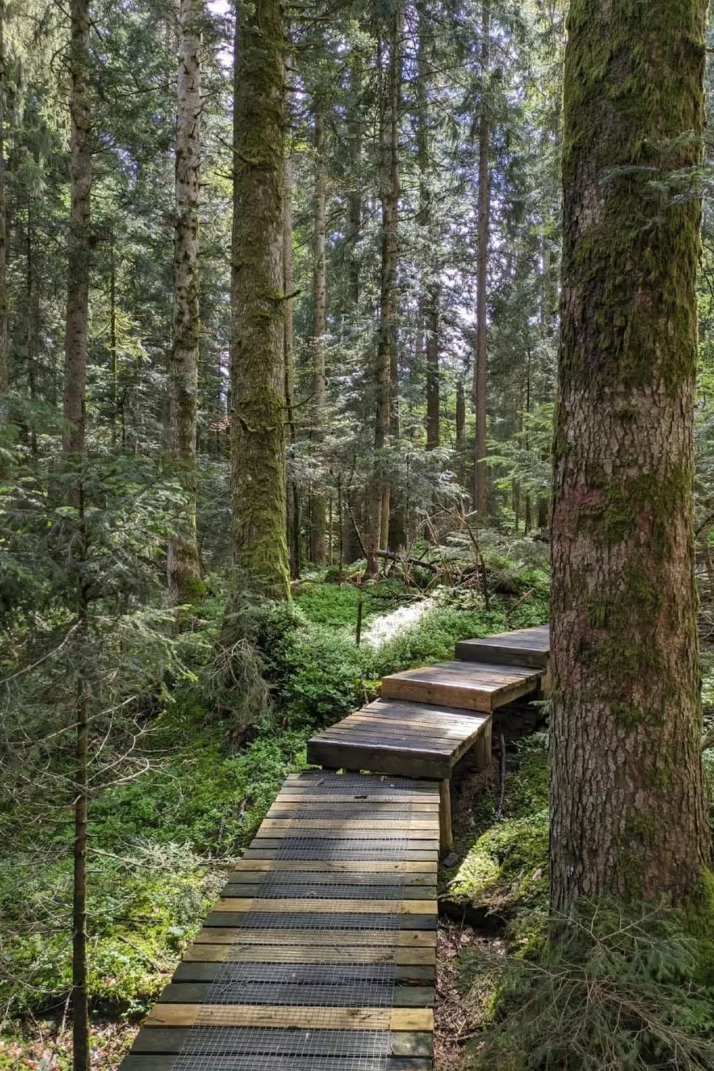 B & B auf dem Bauernhof-Buiten