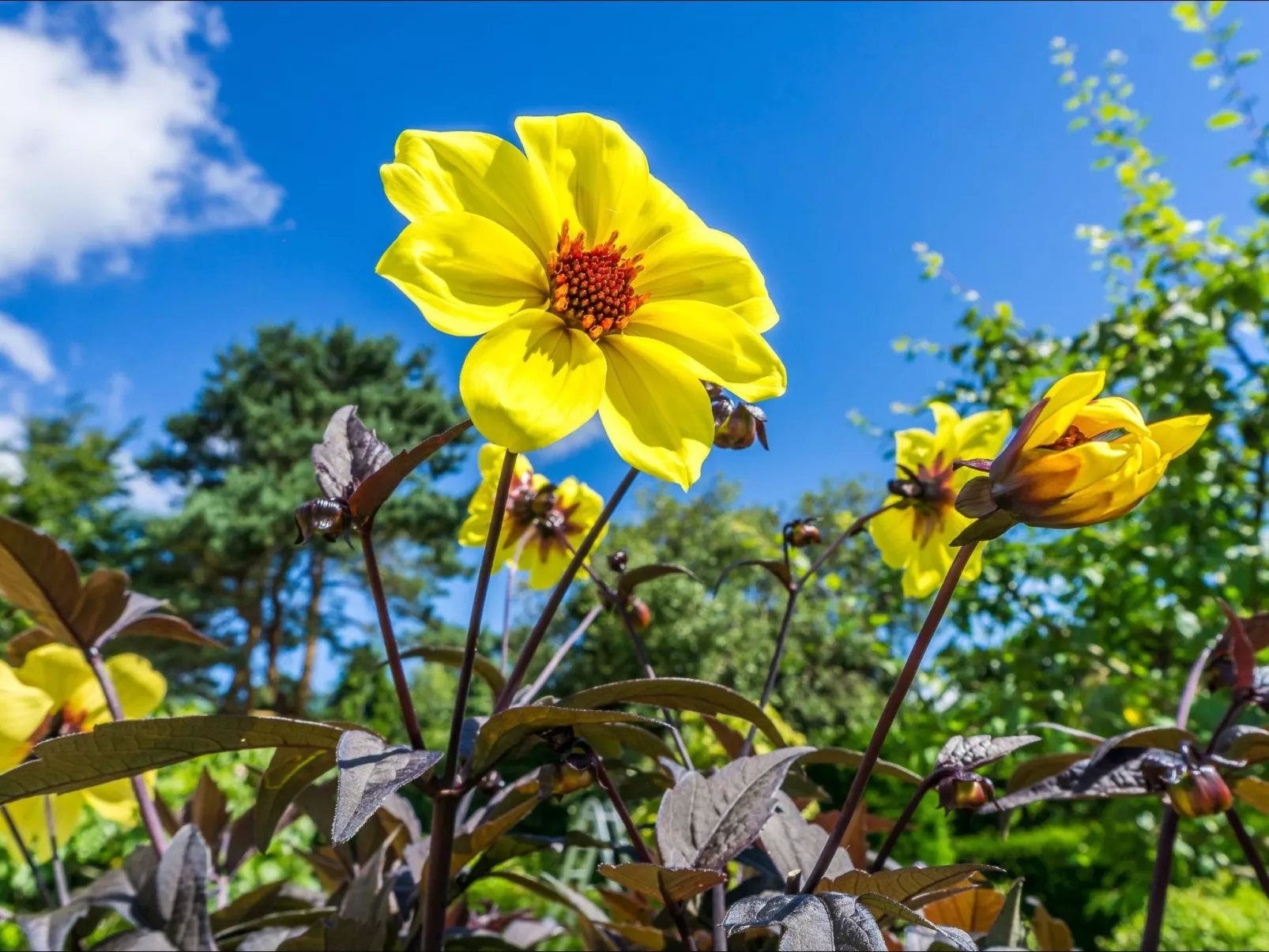 Schönes Ferienhaus in Hastings mit Whirlpool, Terrasse und Garten-Buiten