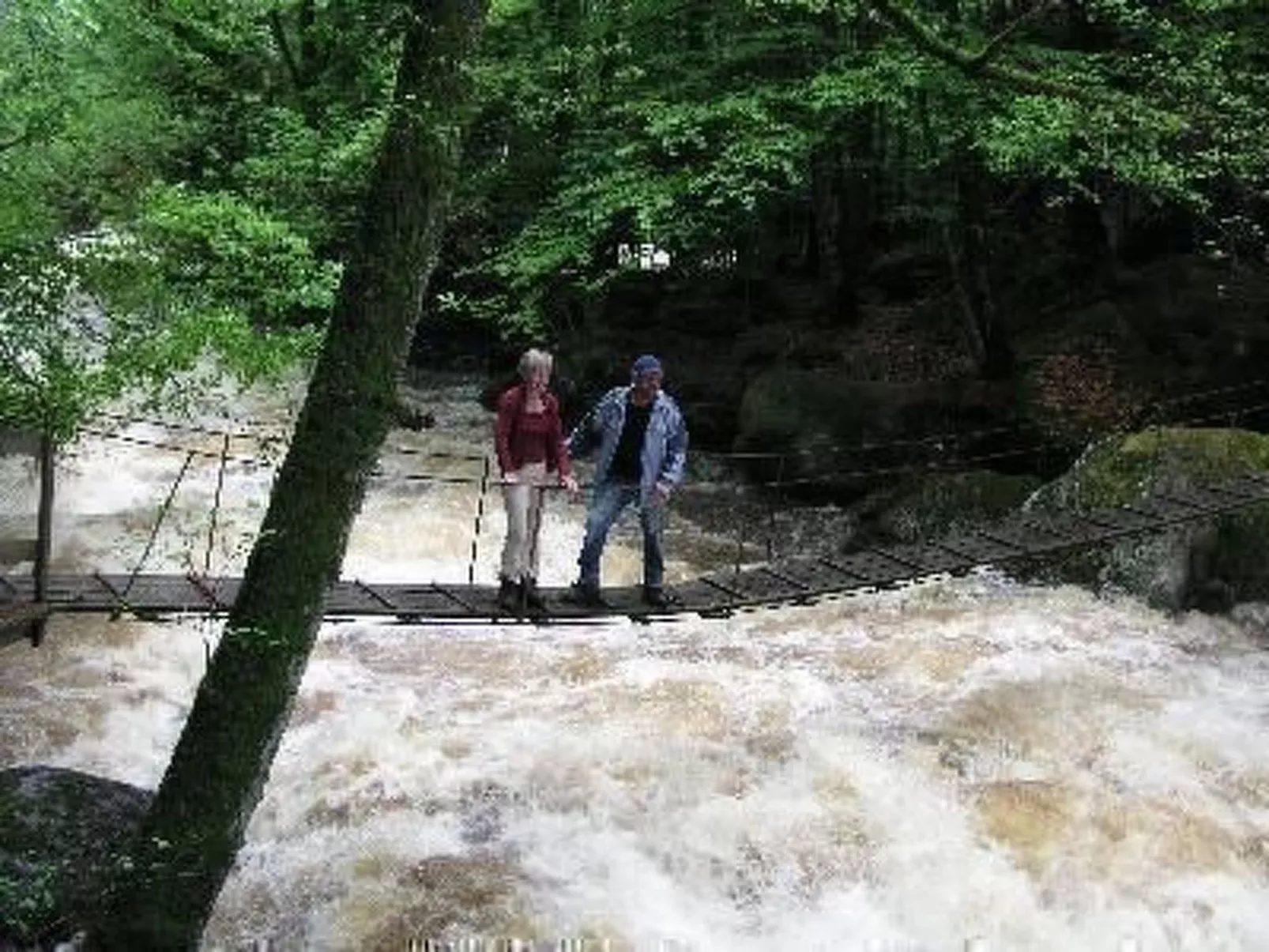 Natur-Image-tags.info