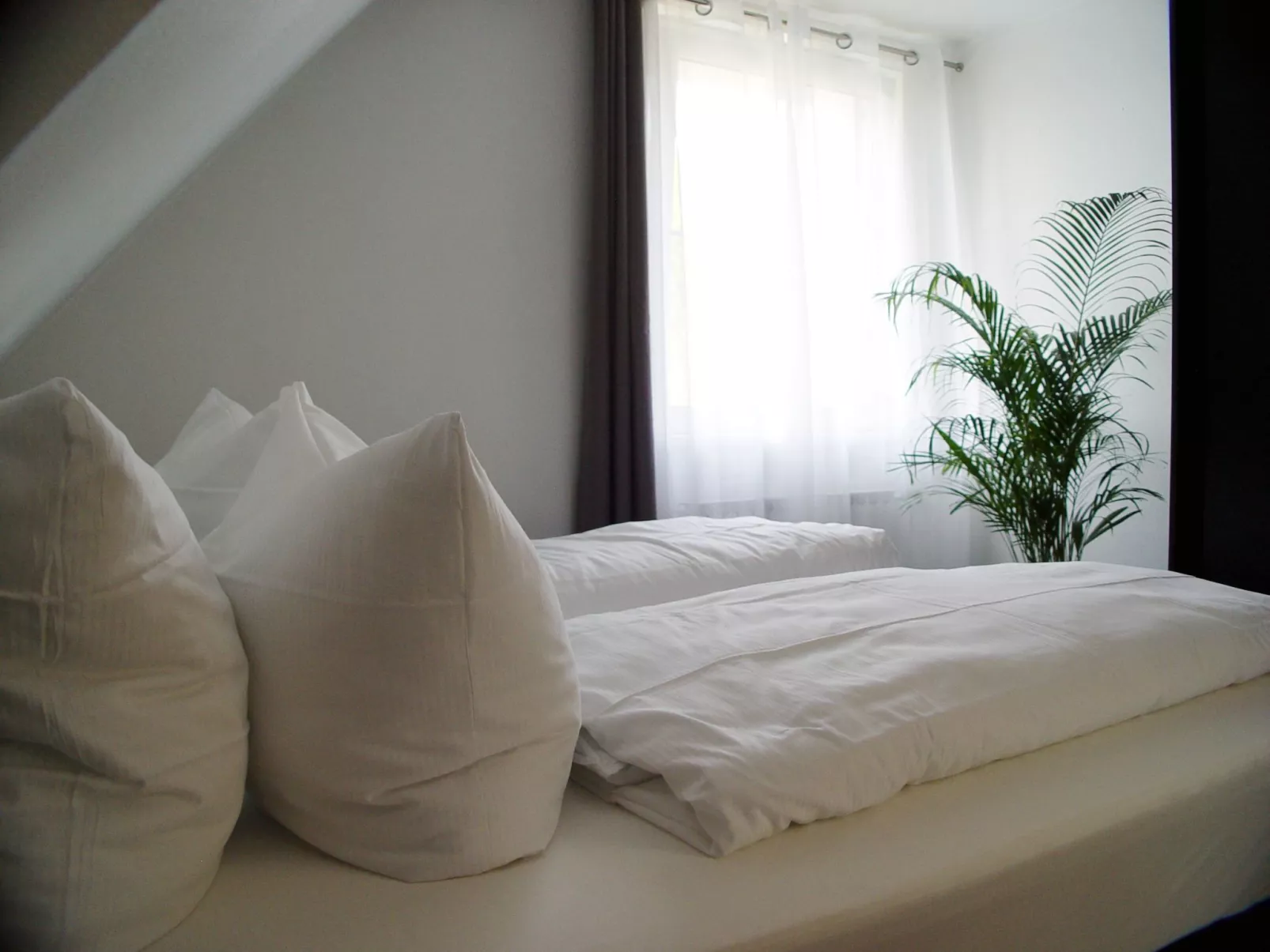 La Domus Premium-Binnen