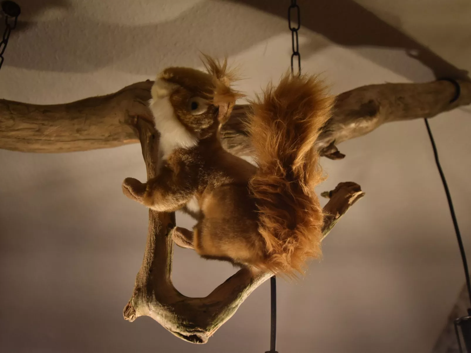 Odenwaldwellness-Image-tags.info