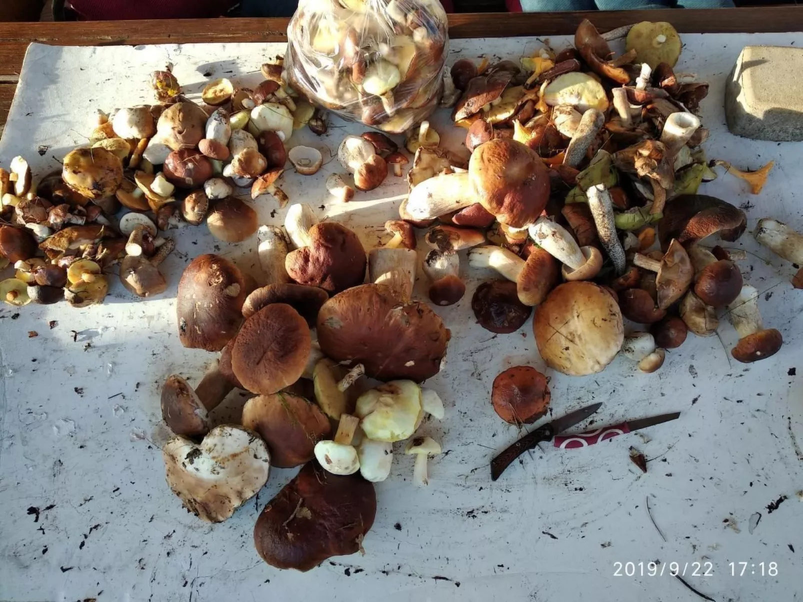 Fachwerkhaus "Paula" mit Blick auf das Wasser-Buiten