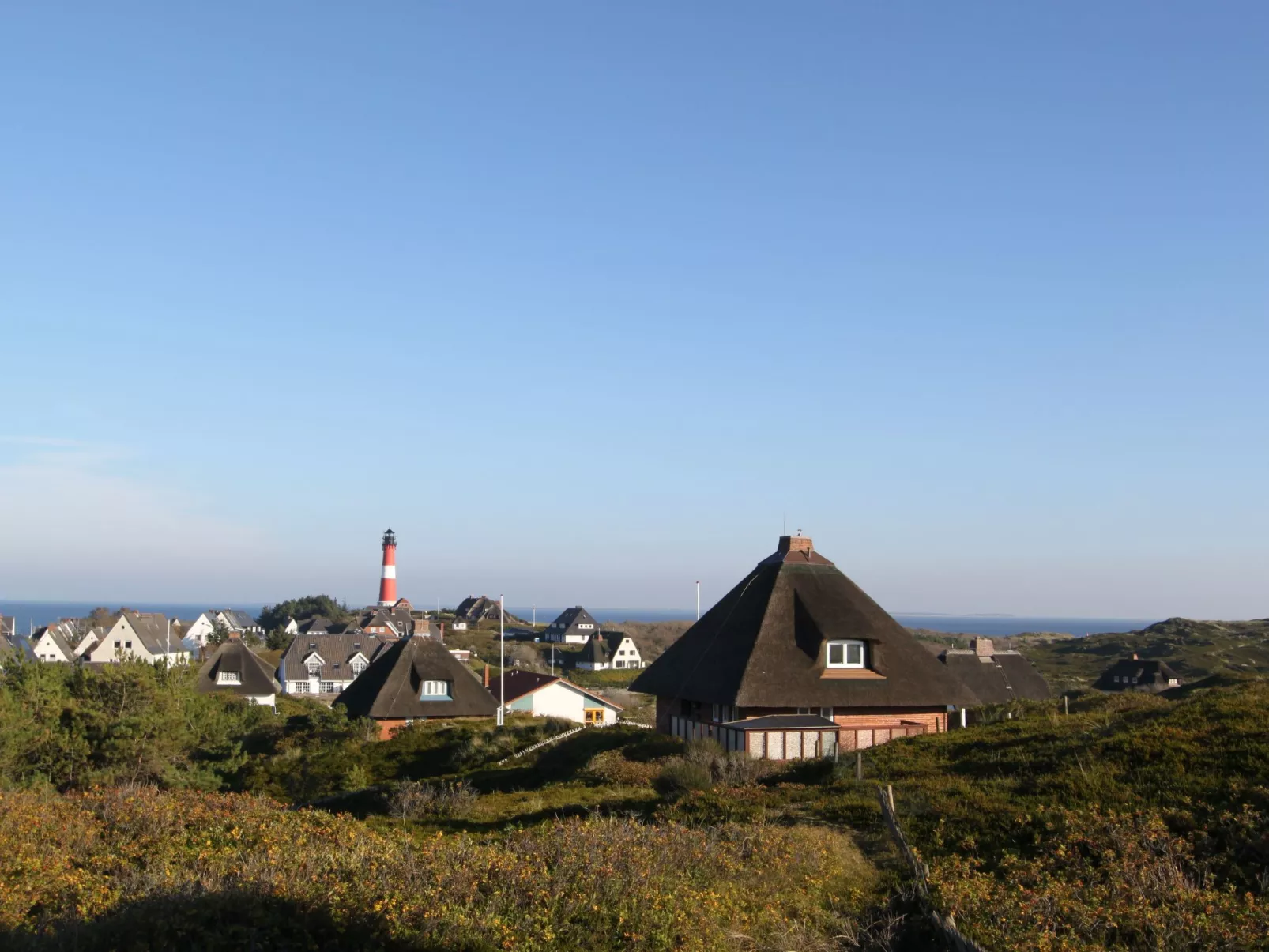 Strandfloh in Hörnum-Buiten