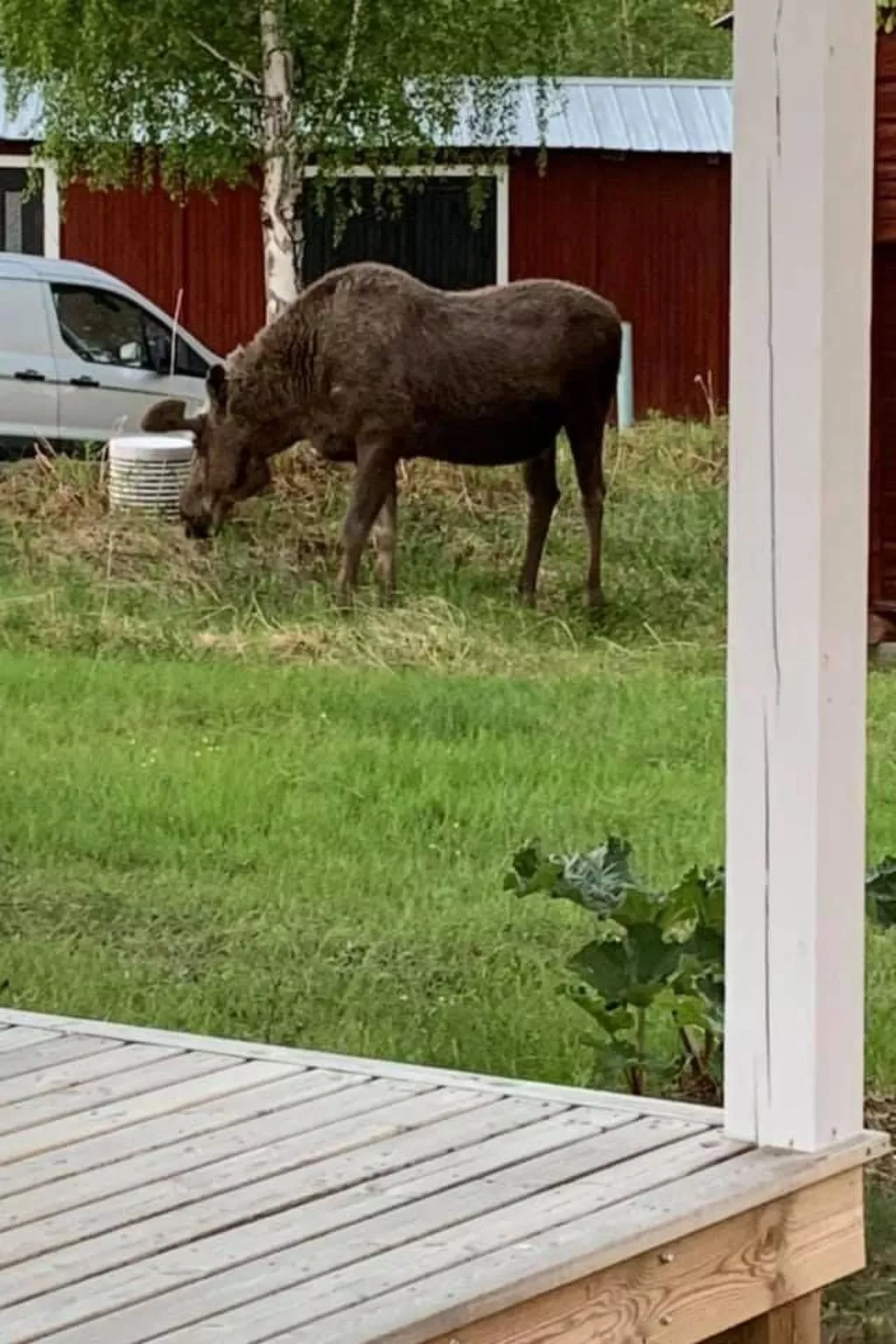 Zu vermieten in der Nähe von Jokkmokk-Buiten