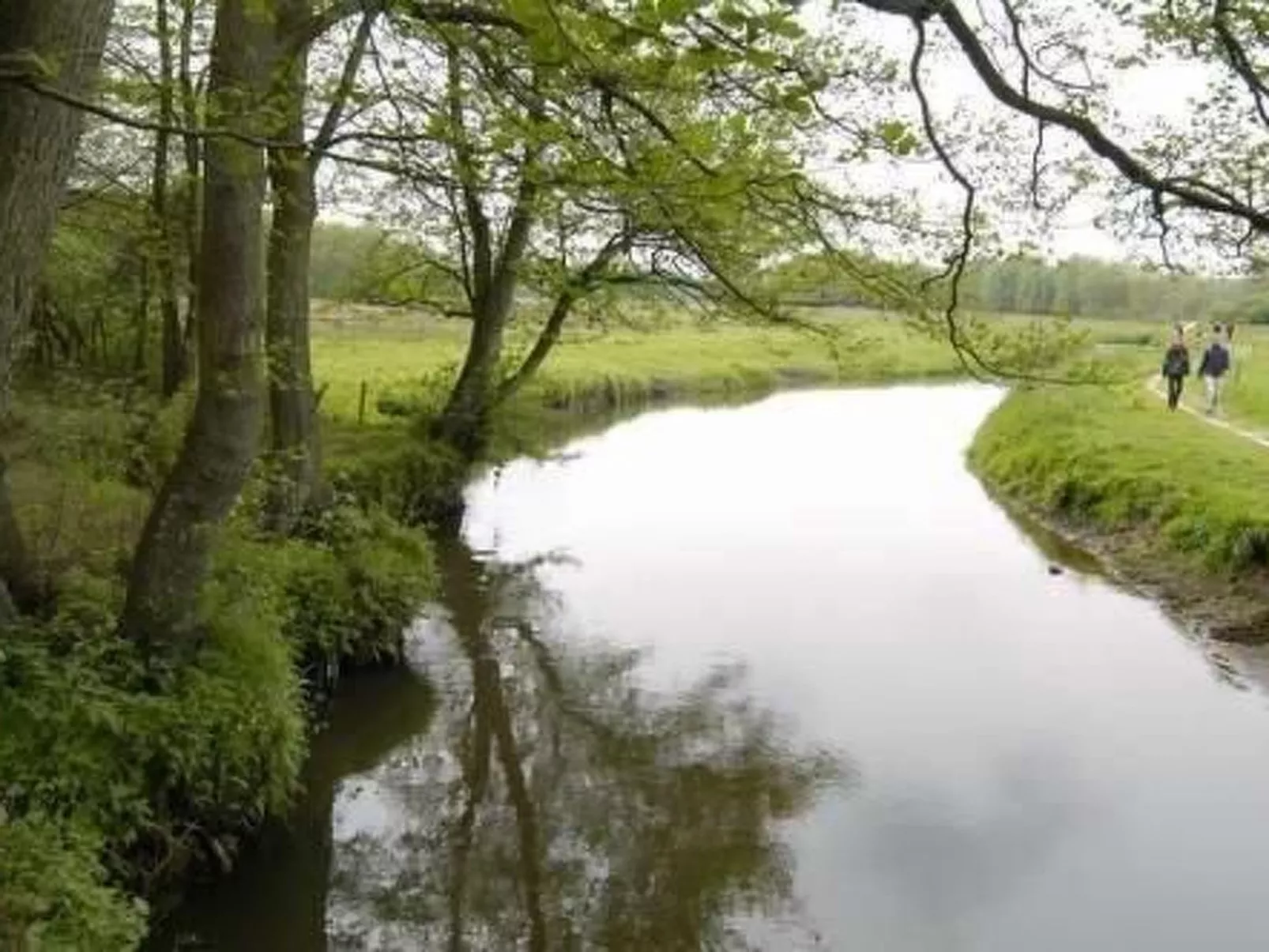 't Anderhoes-Image-tags.info