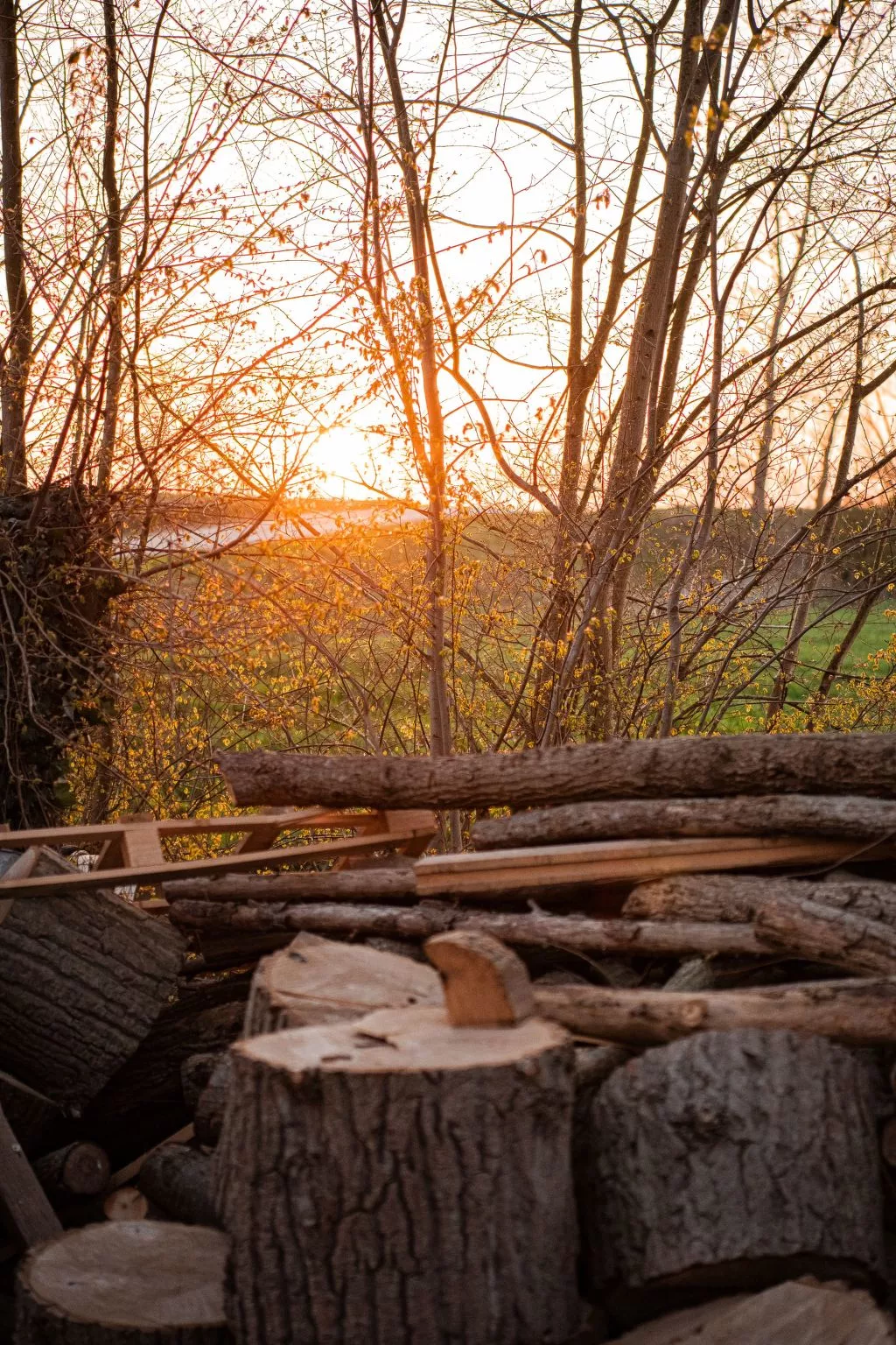 Einzigartiger Aufenthalt "The Moggershil" auf dem Bauernhof-Buiten