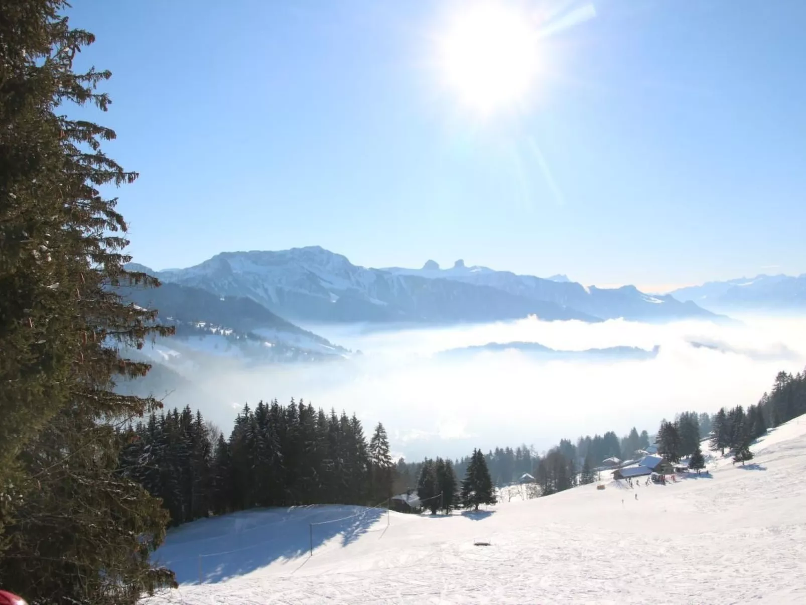 Les Narcisses,Blonay-Buiten