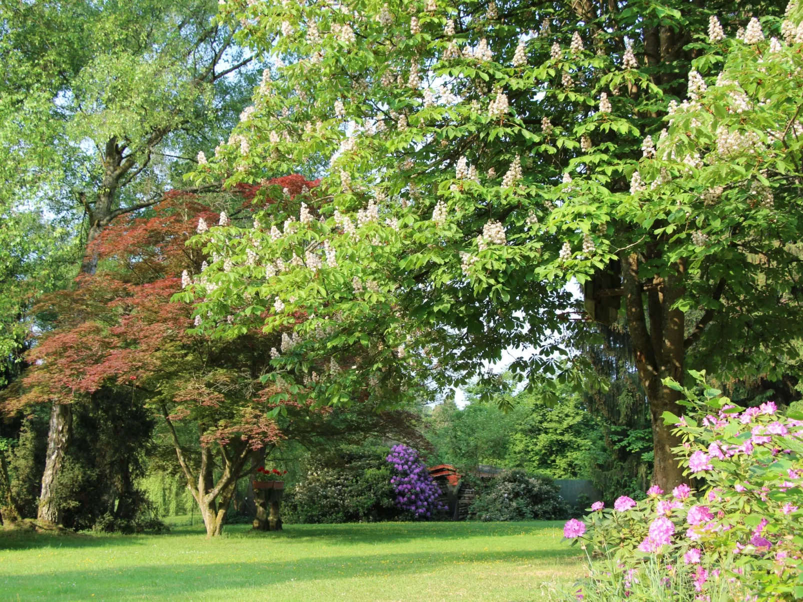 Ferienvilla mit eigener Sauna-Buiten
