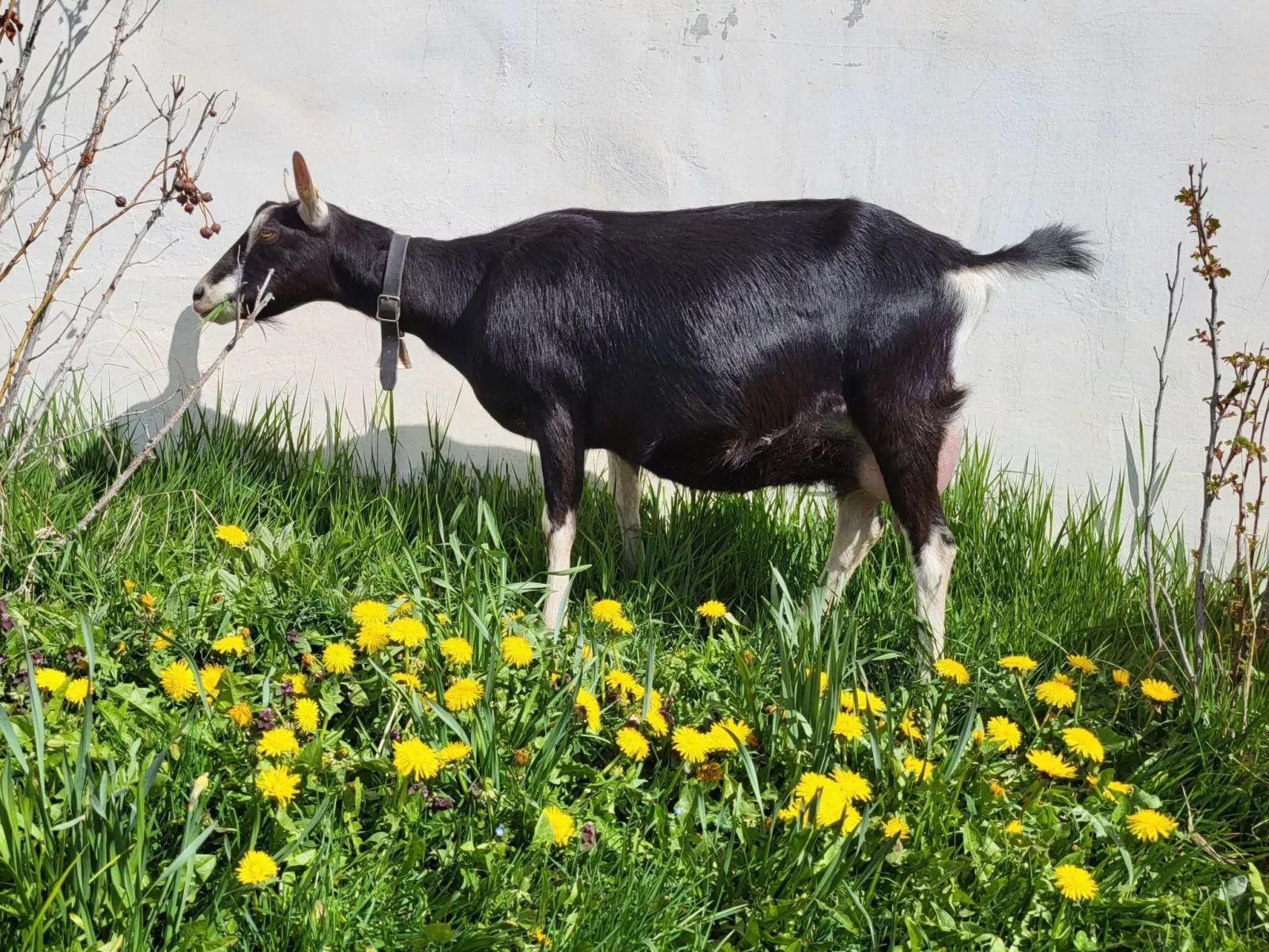 Hof Gross Gada-Buiten