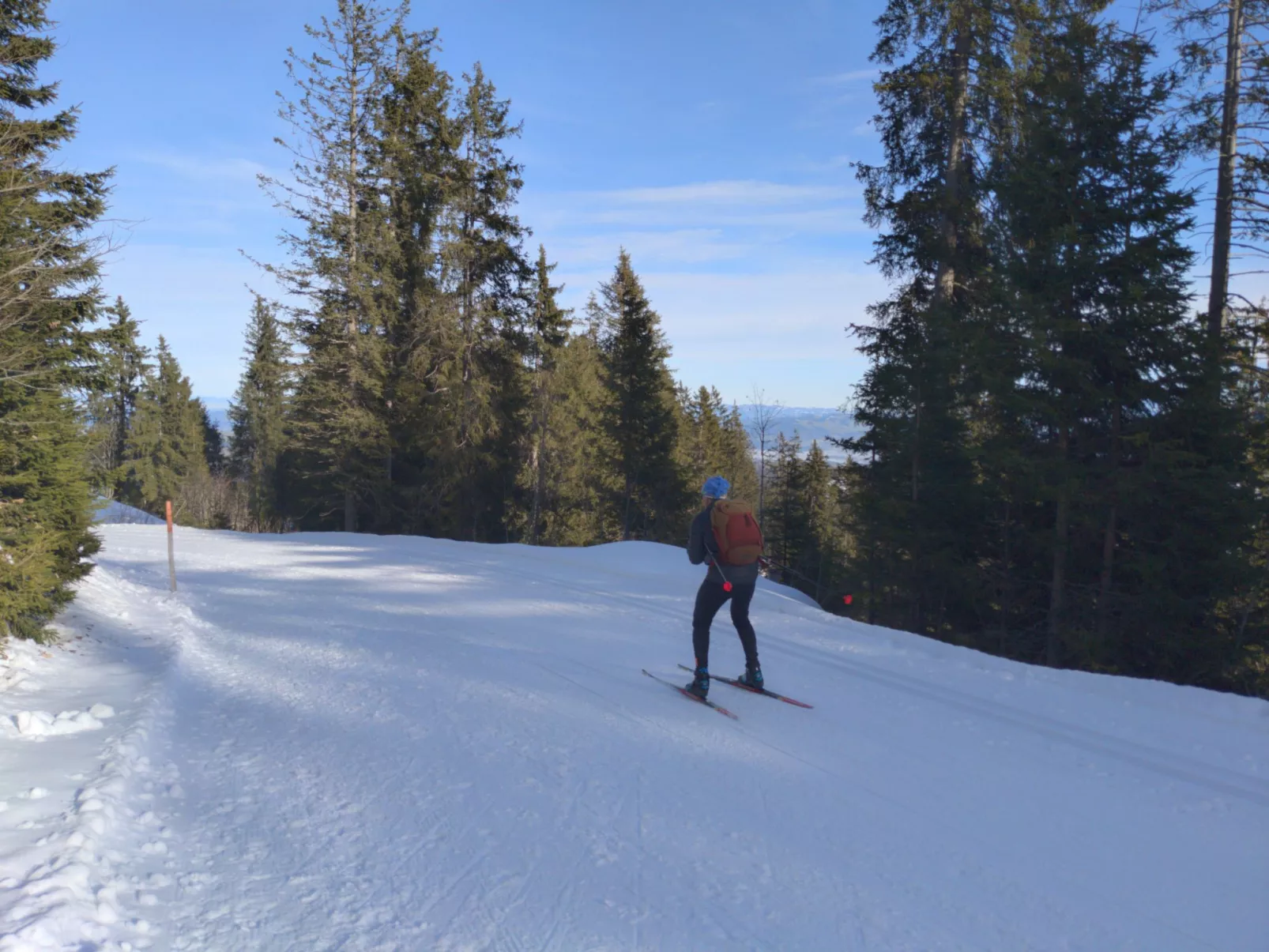 FeWo Südhang-Buiten