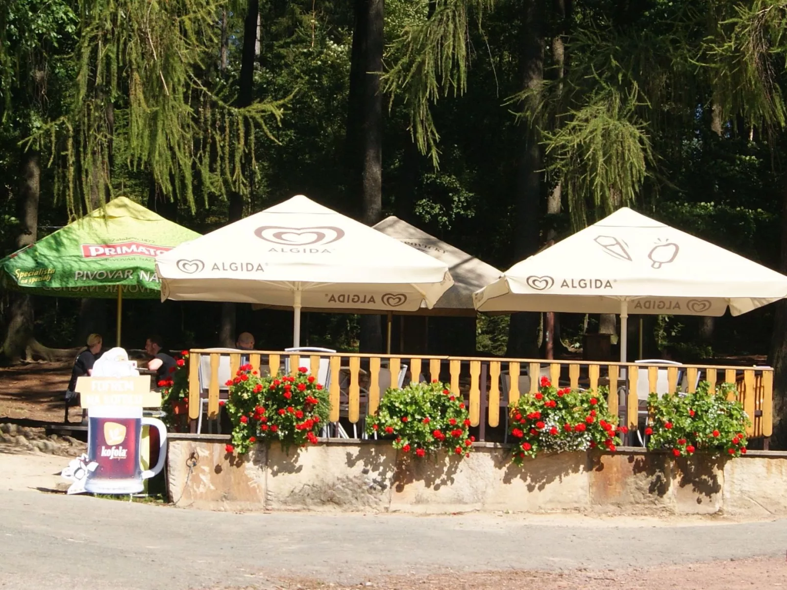 In natürlicher Umgebung-Buiten