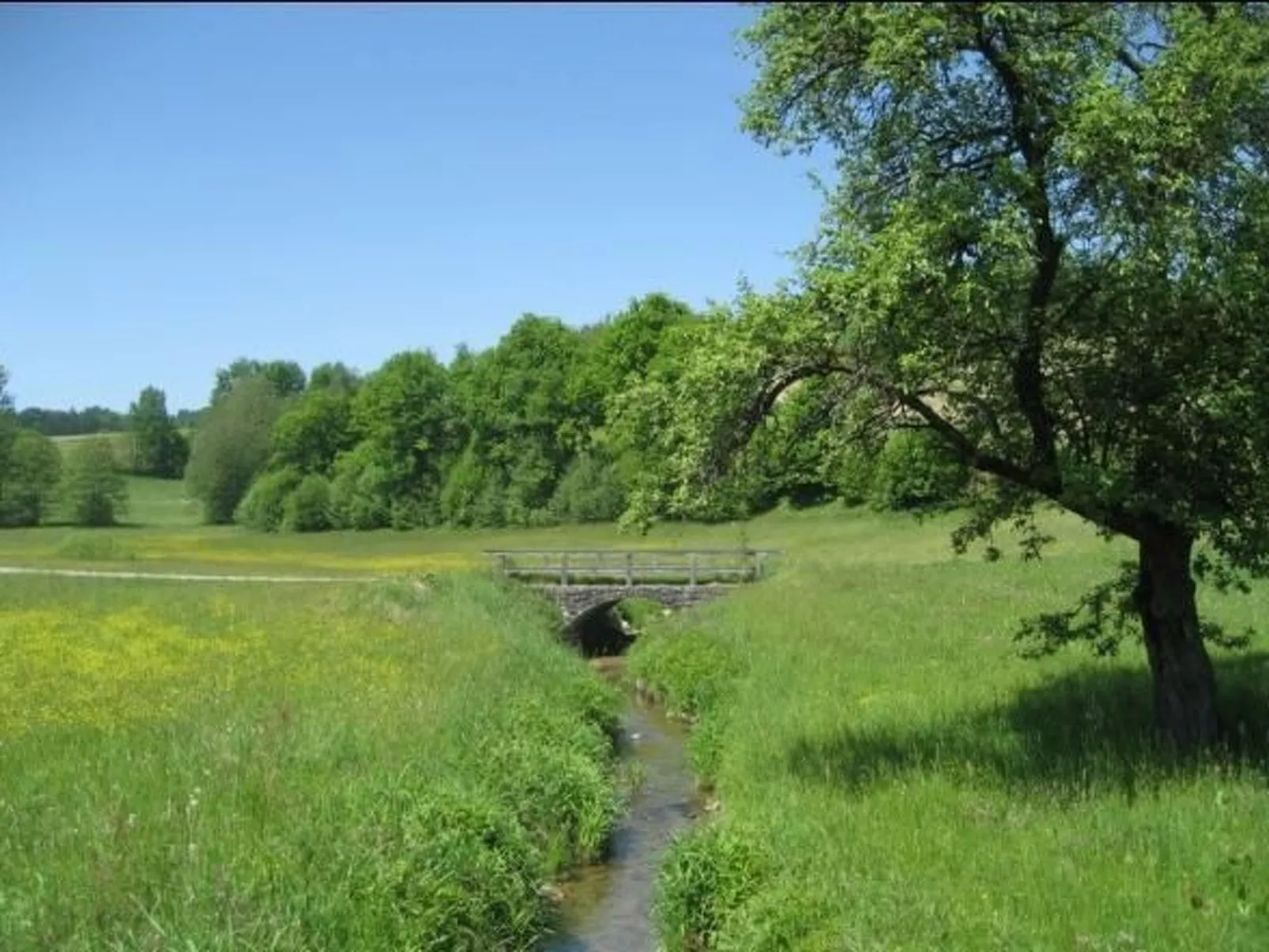 In Röhrnbach mit Grill und Terrasse-Buiten