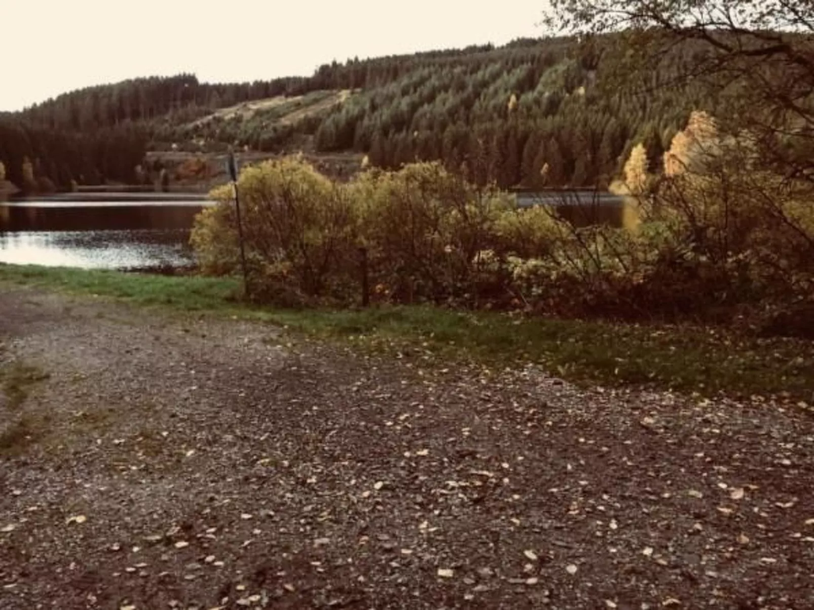 Feriendomizil Adler-Buiten