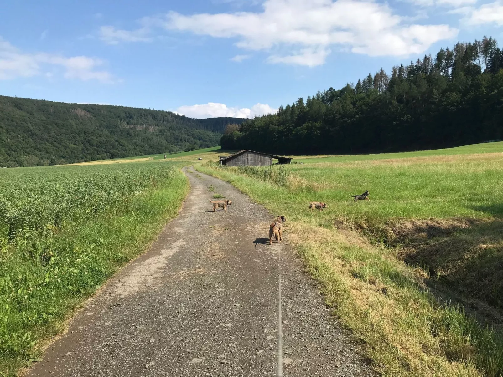 Frankenblick-Image-tags.info