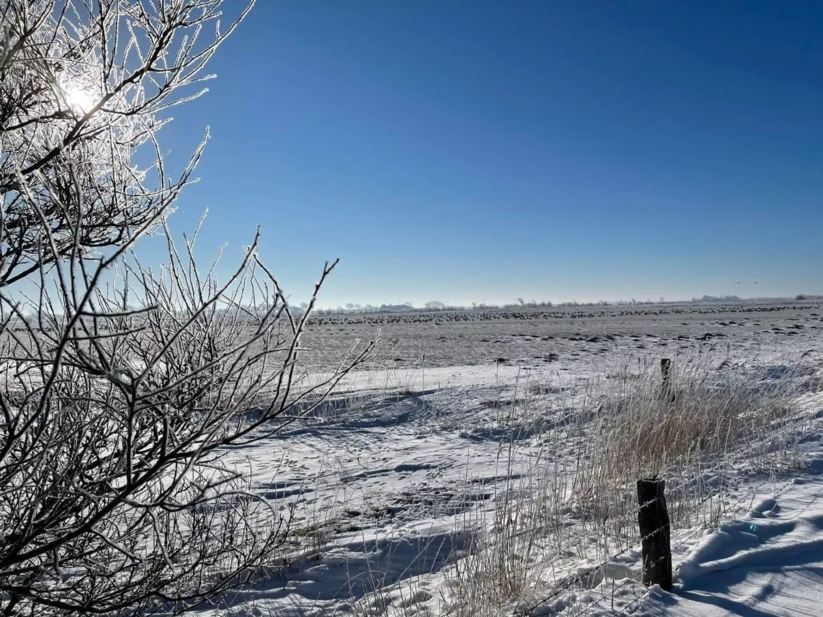 Ruhige Wohnung in Risum mit Garten und Terrasse-Image-tags.info