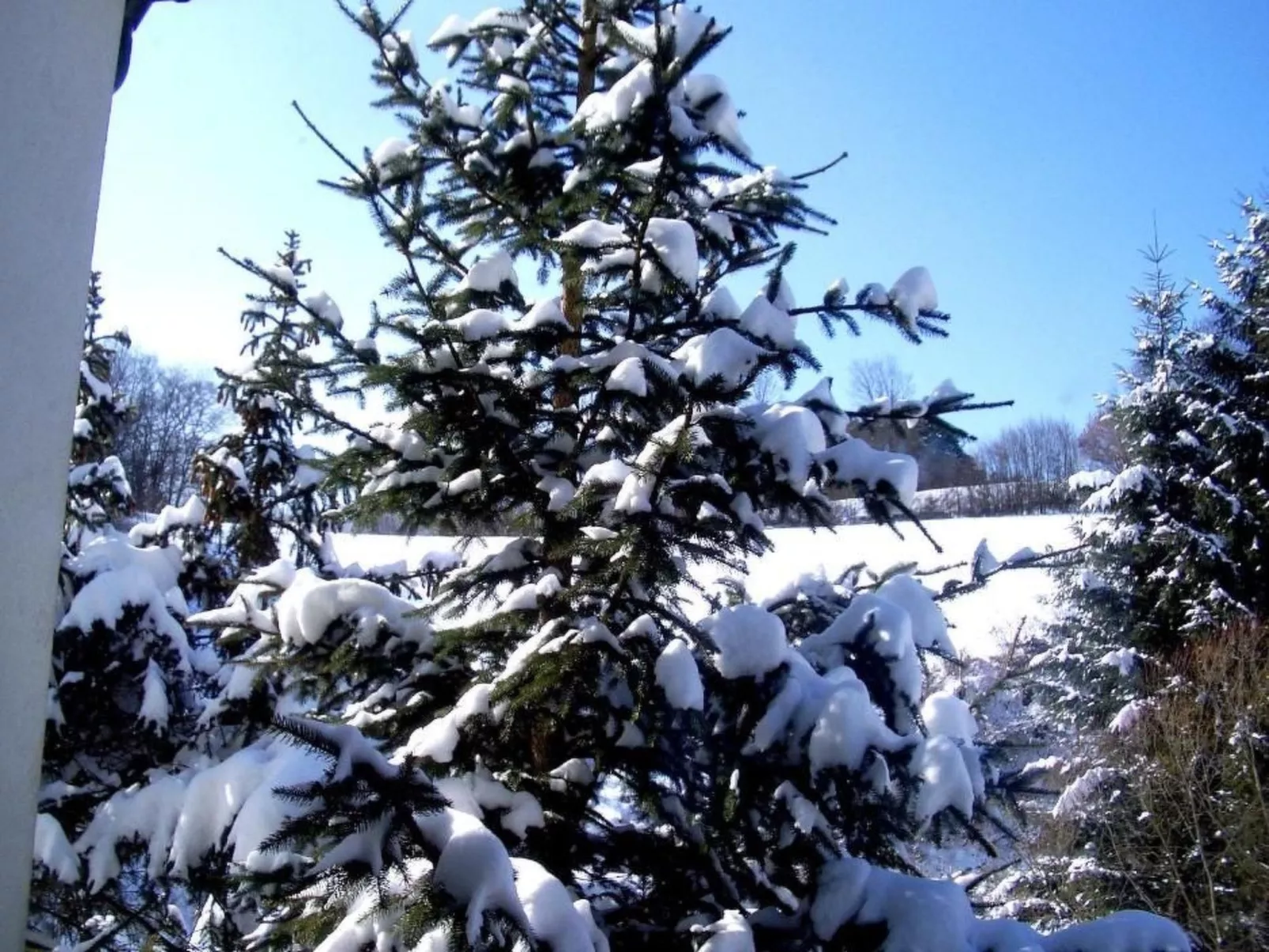 Roomantic Apartment für 4 Personen-Buiten