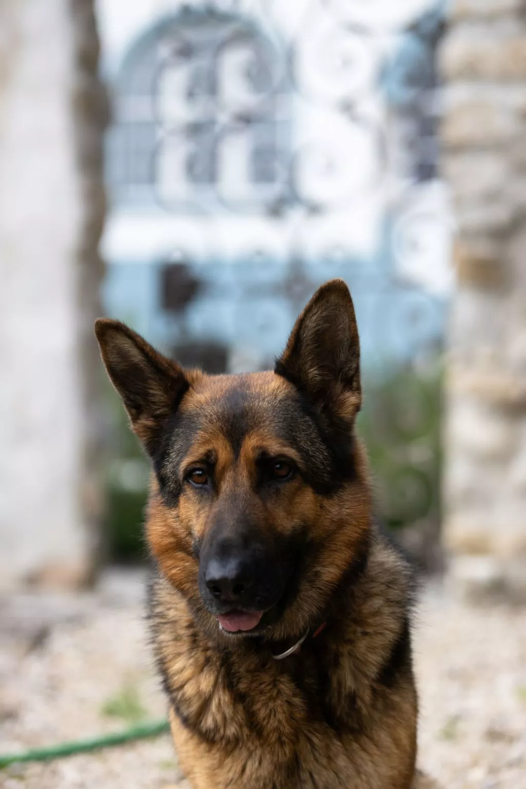 Chateau-Studio Bleu-Buiten