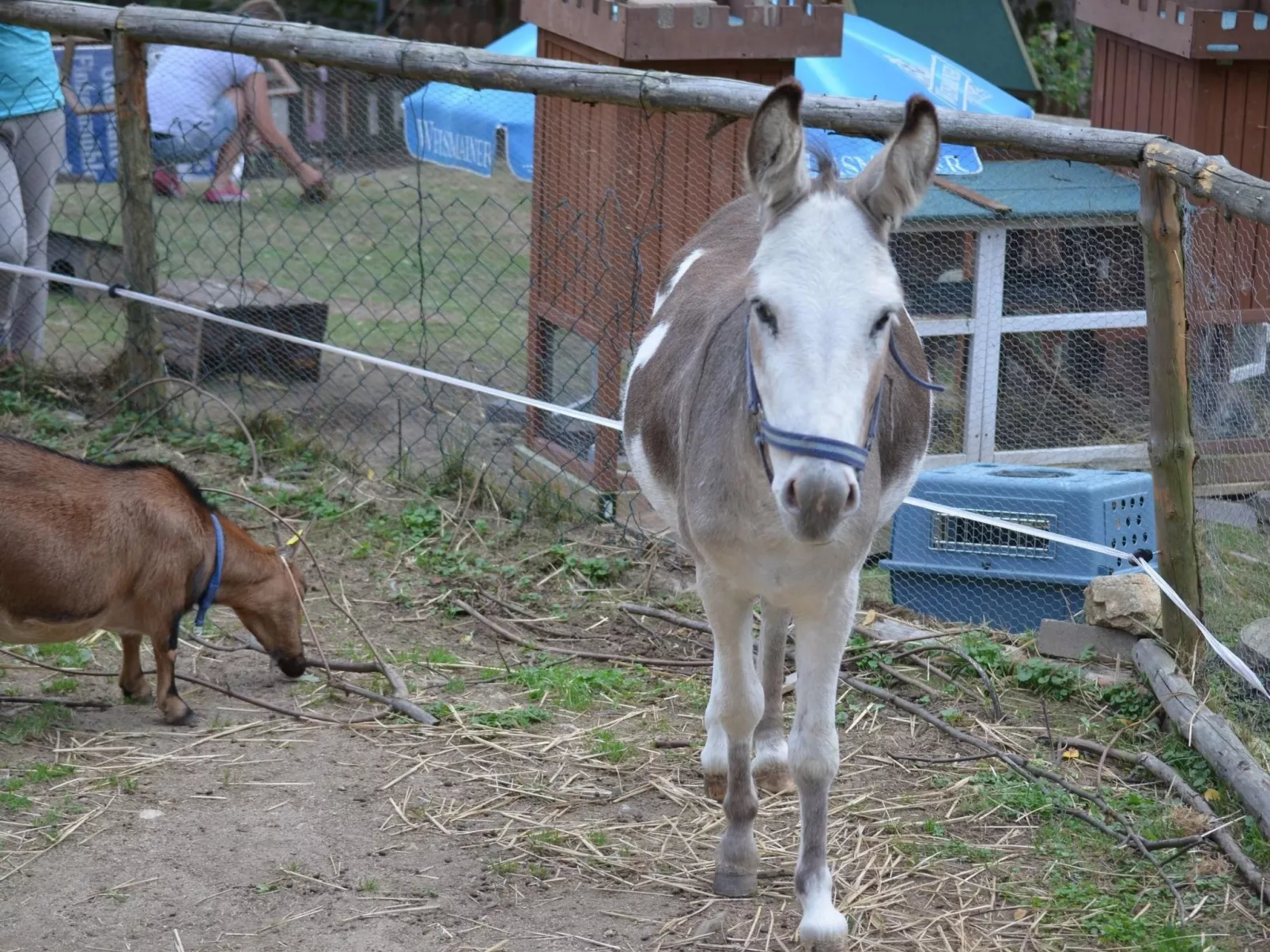 Mit zwei Schlafzimmern und Balkon-Buiten