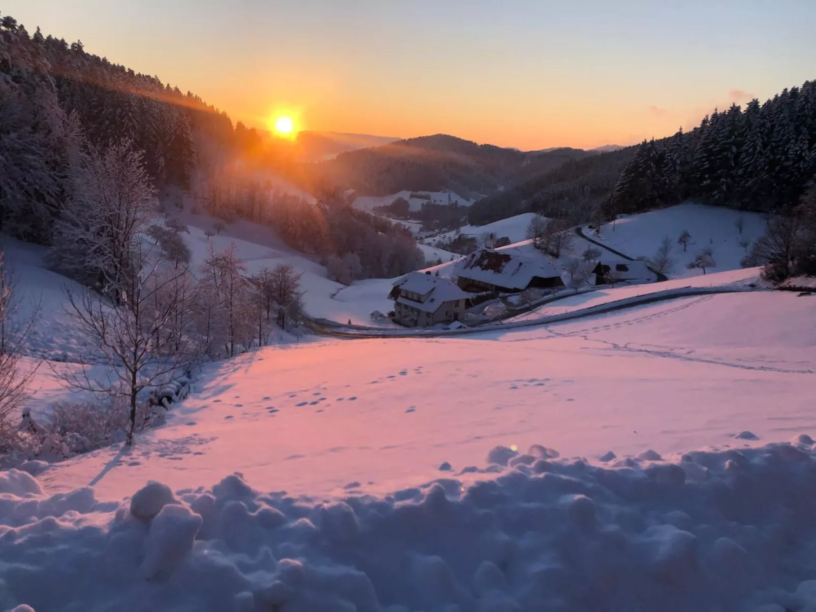 FeWo mit Whirlpool und Fass-Sauna im Schwarzwald-Image-tags.info