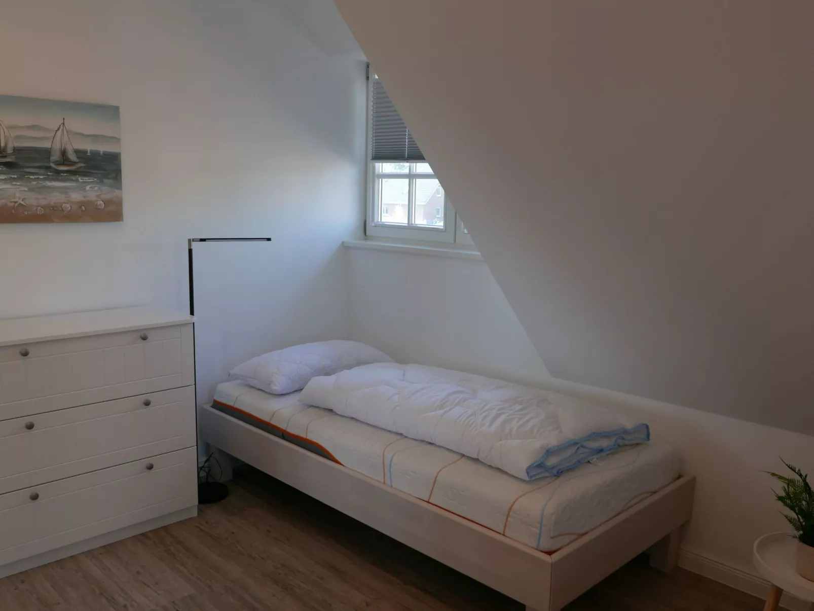 Knut-Image-tags.info