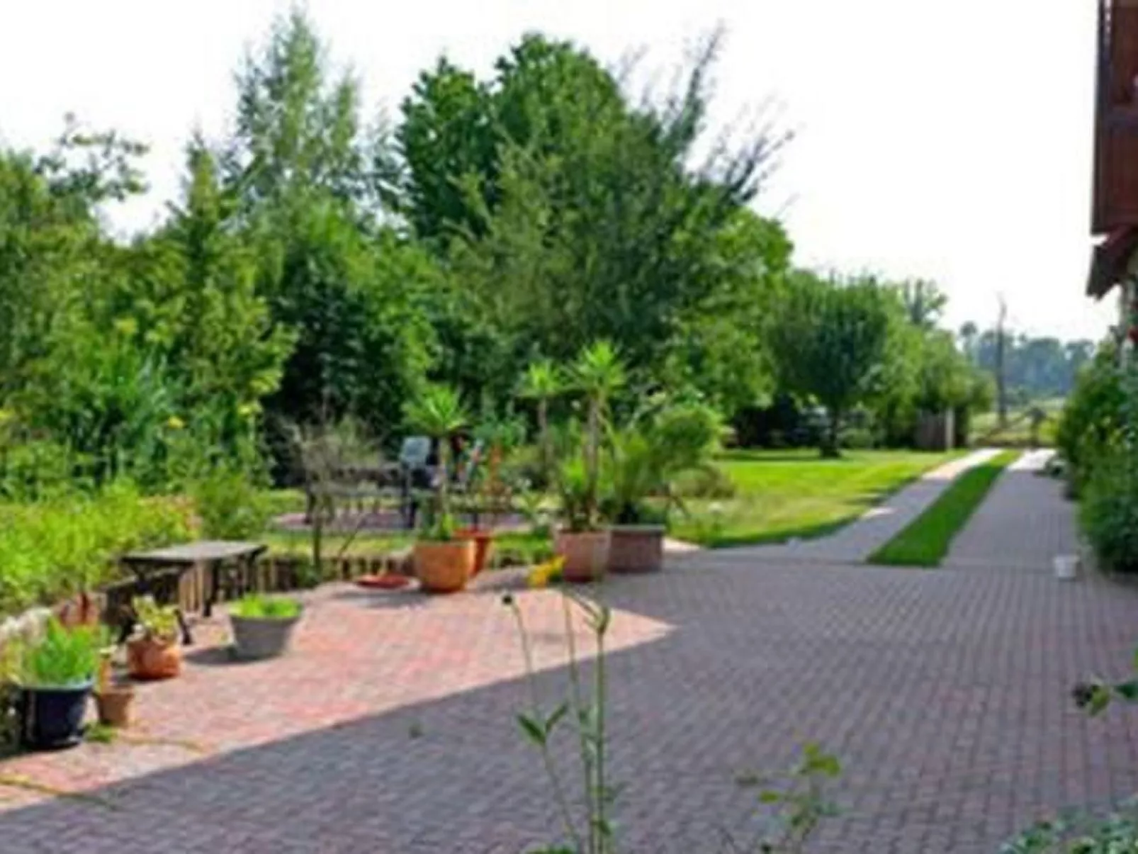 Am Wiesengrund in Venningen-Buiten