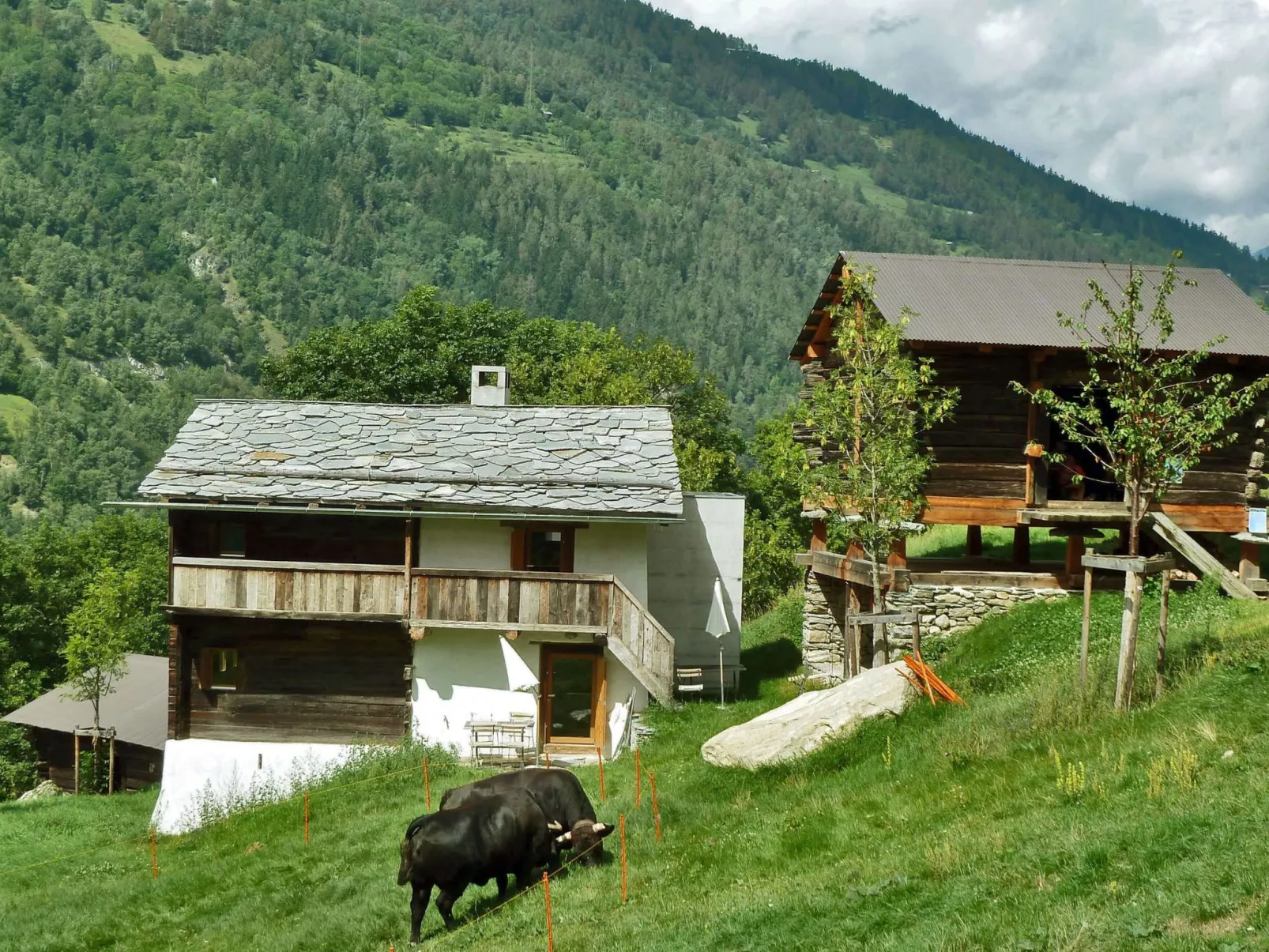Typische Wohnung Le Ver Luisant. Val d'Hérens-Image-tags.info