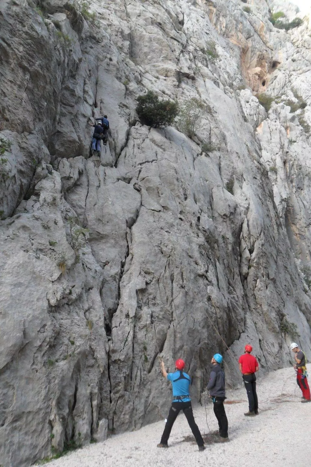 Apartment Cinthija mit Balkon direkt am Strand-Image-tags.info