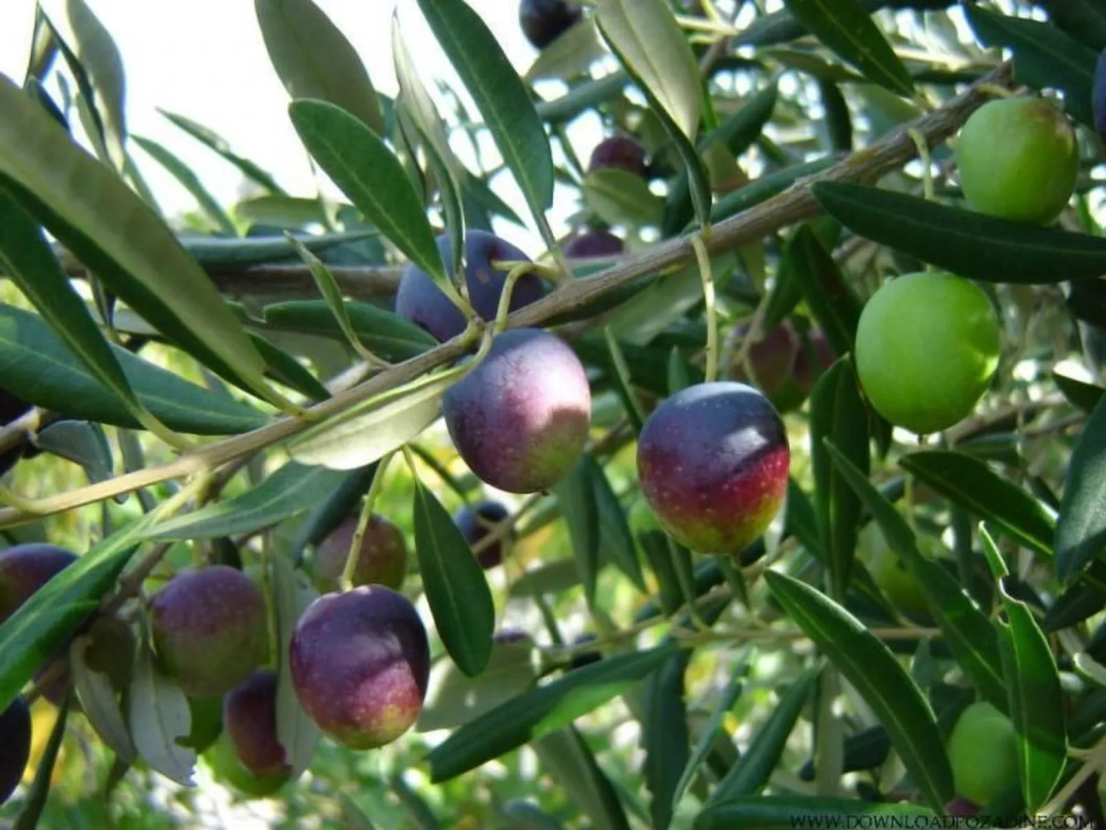 "Peaceful Paradise"-Buiten