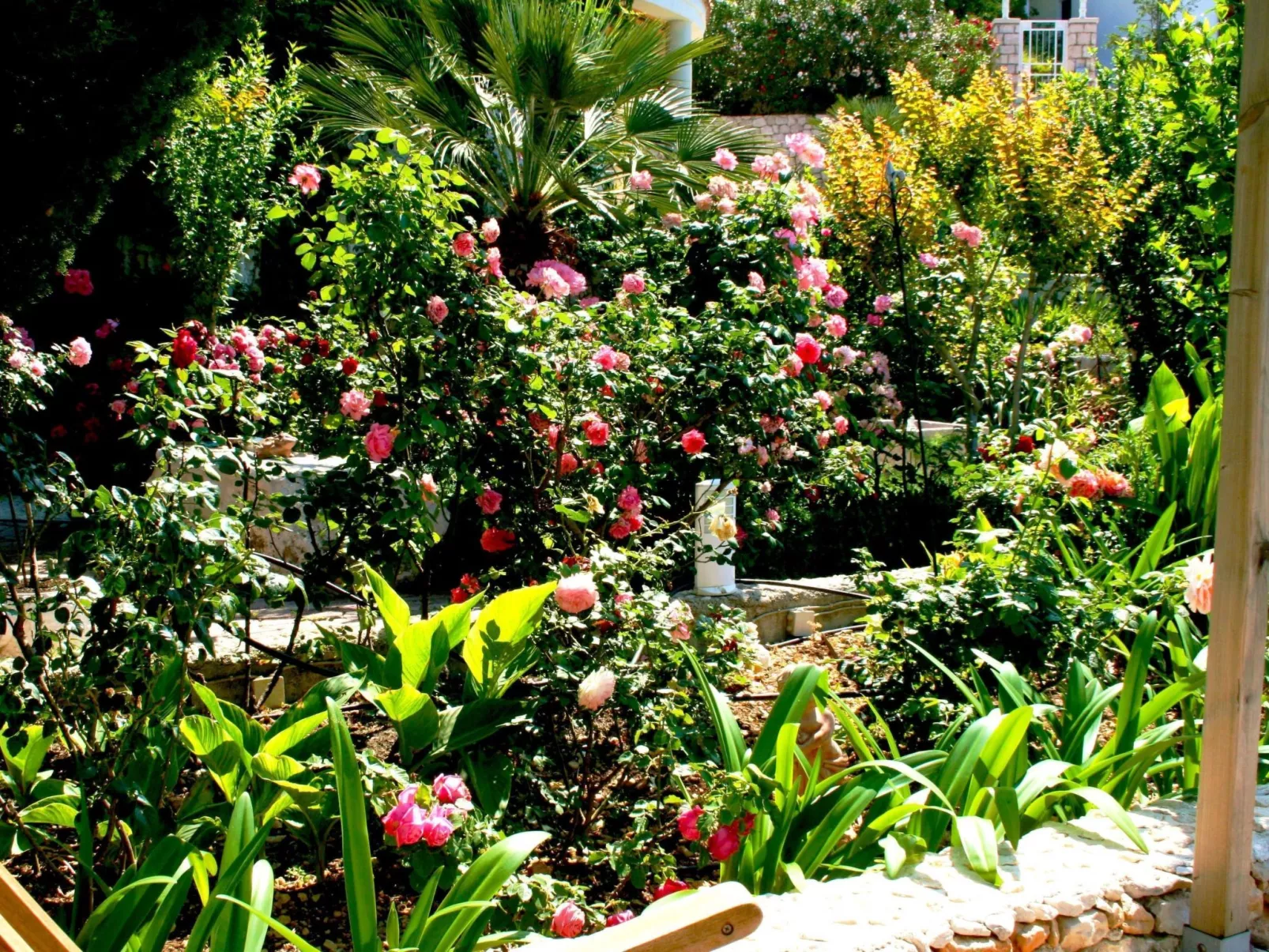 Tolle Wohnung in Drašnice mit Schönem Garten-Buiten