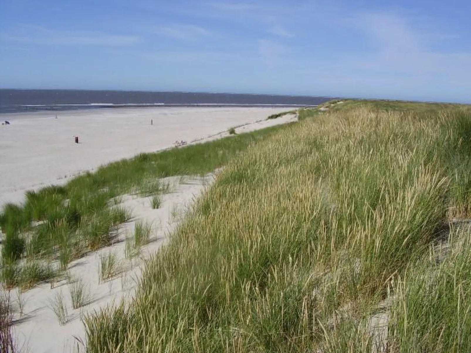 "Wad und Wal" mit Schwimmbad-Buiten