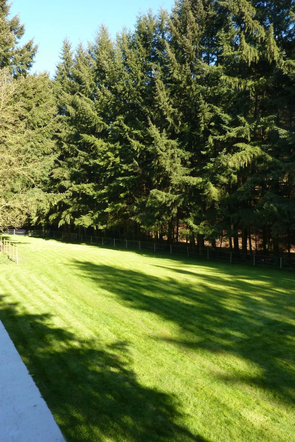 Holz-Blockhaus für vier Personen mit Terrasse-Buiten