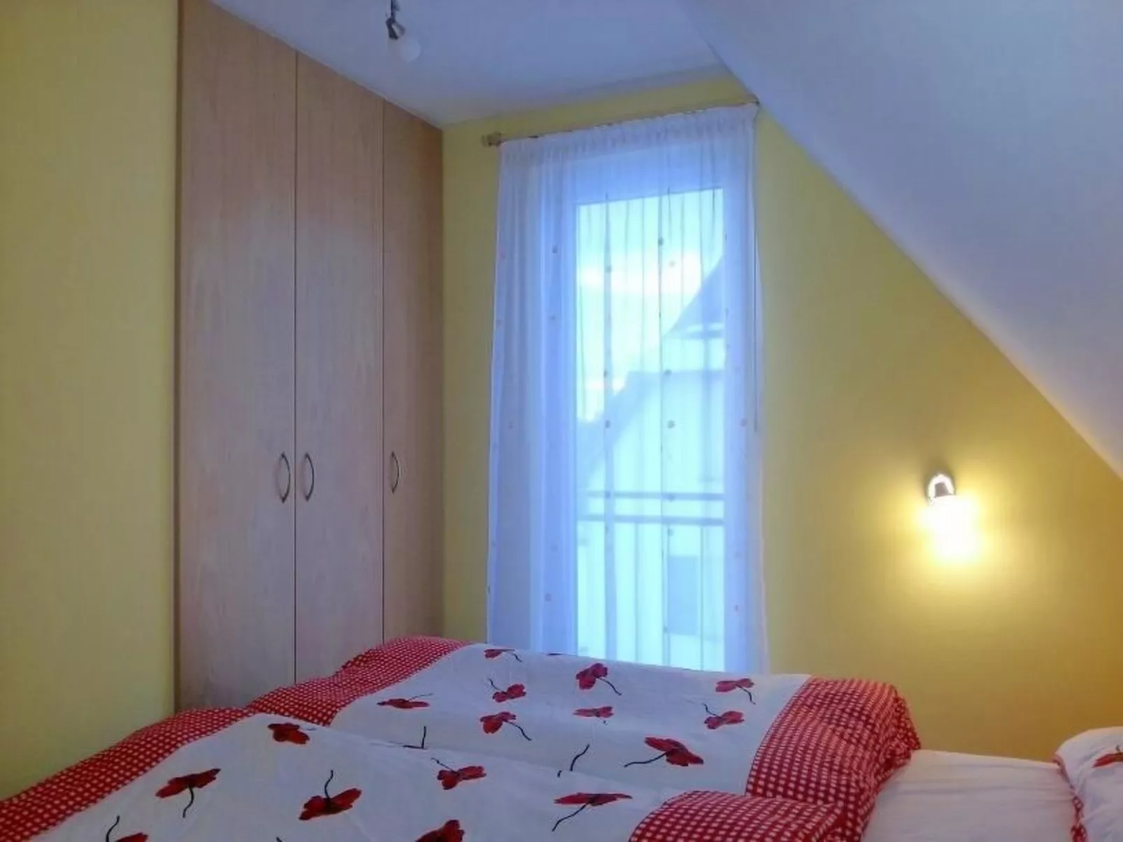 Anemone-Image-tags.info