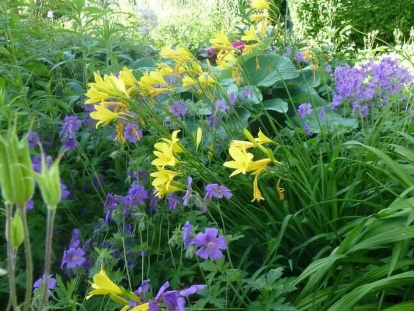 Buschle-Image-tags.info