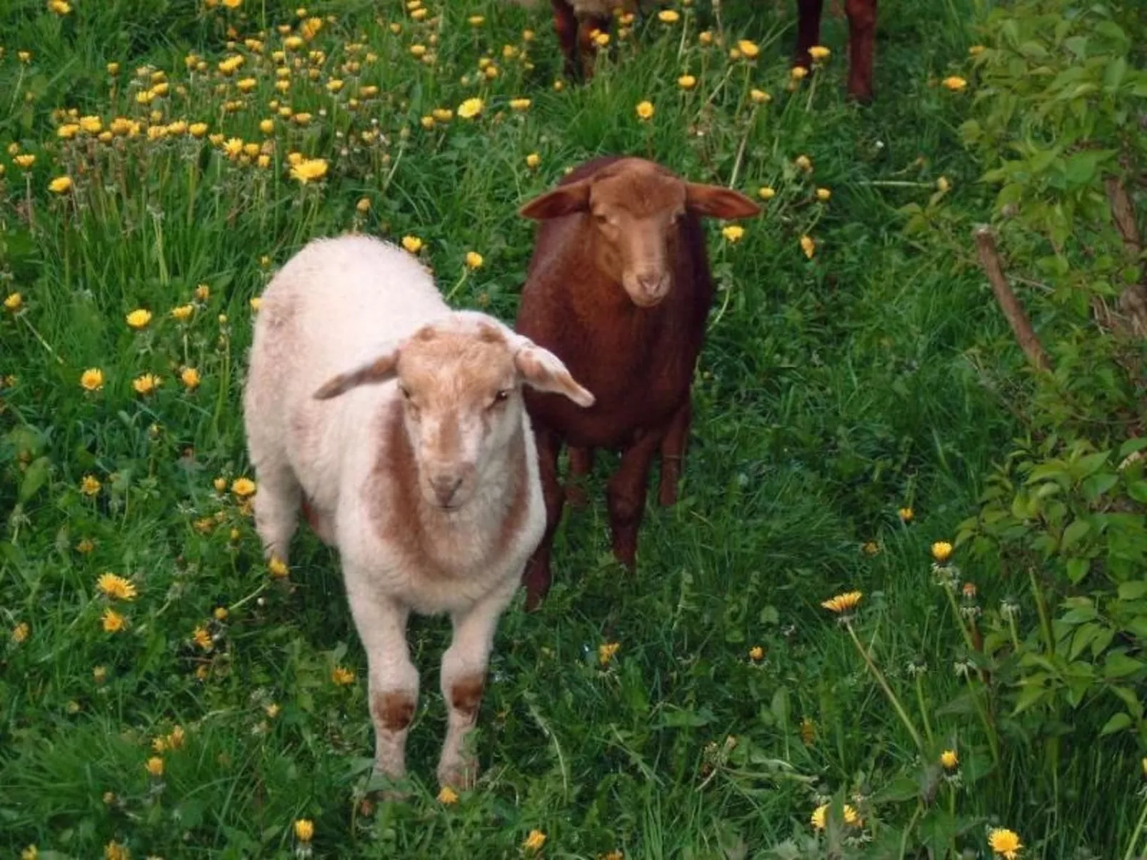 Mit Meerblick - direkt an der Ostsee-Image-tags.info