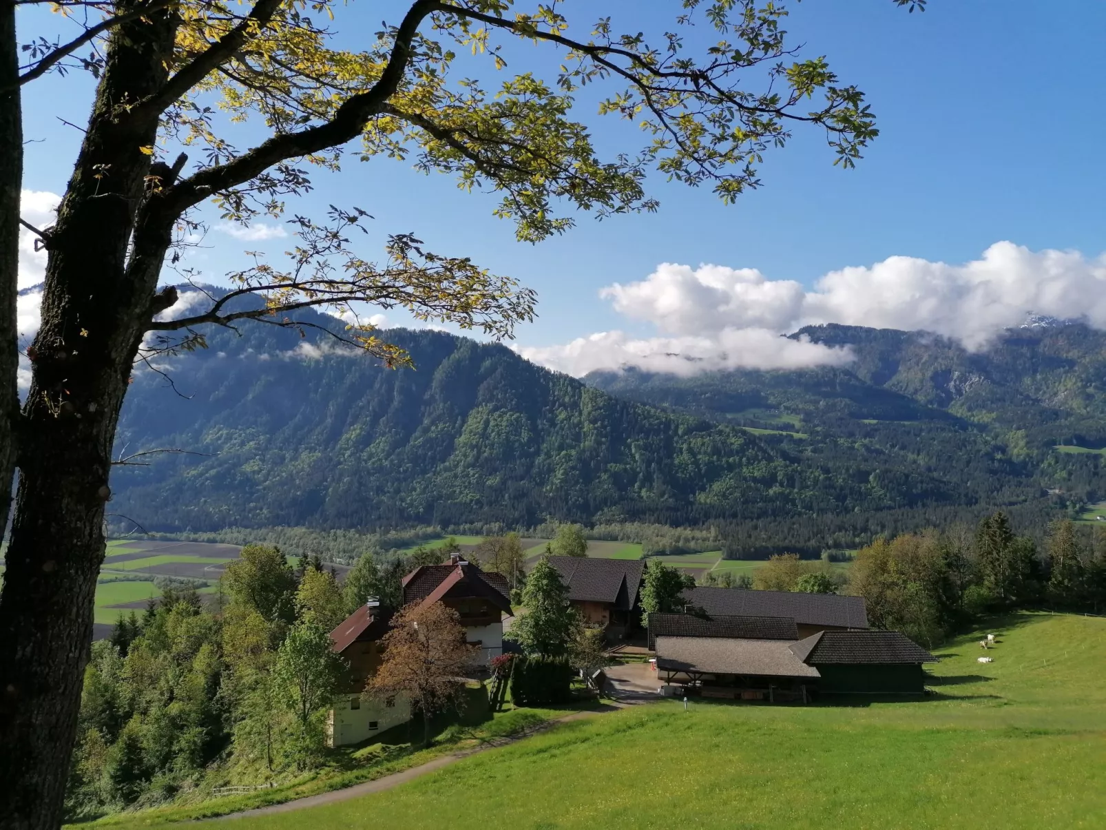 Waldblick in Steinfeld-Buiten