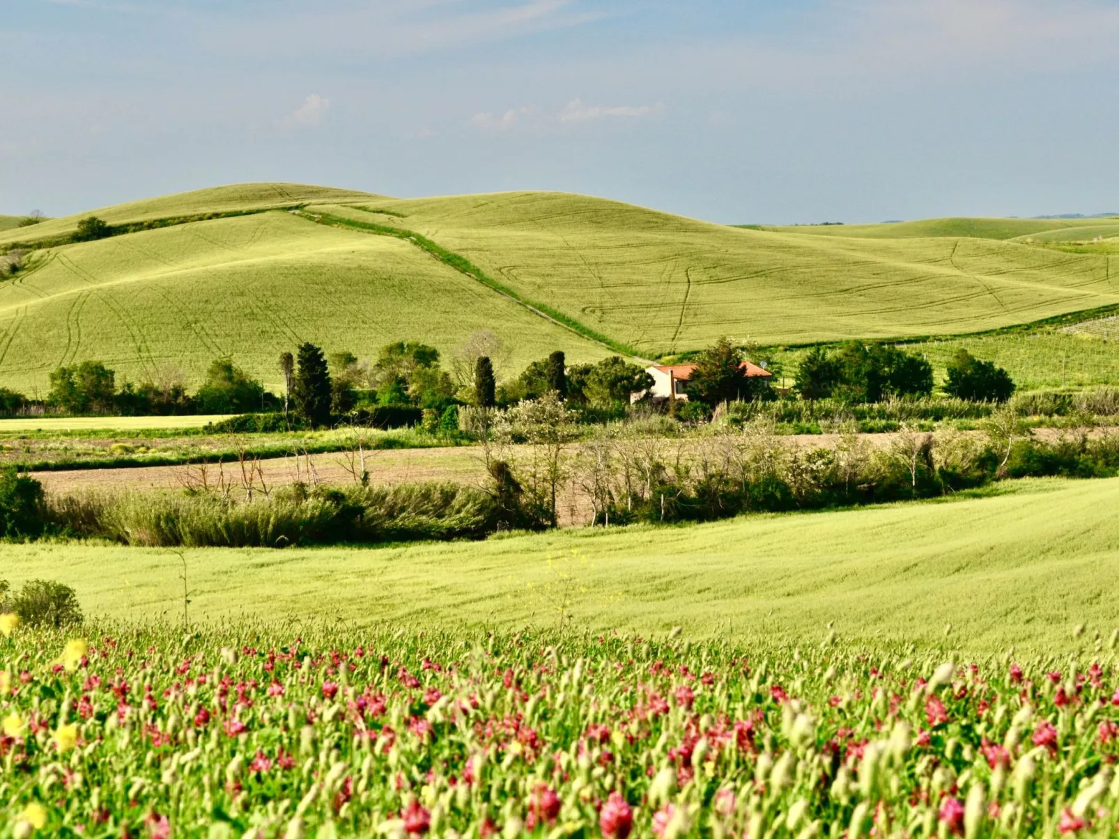 Ostoncino biodynamisch-Buiten